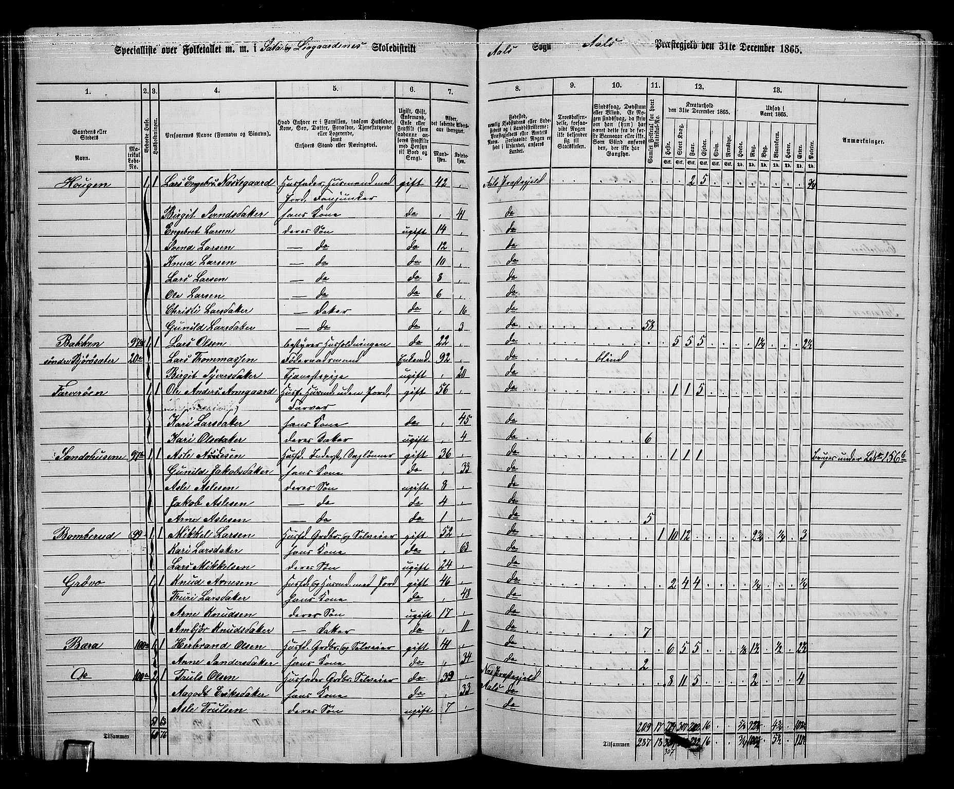 RA, 1865 census for Ål, 1865, p. 64