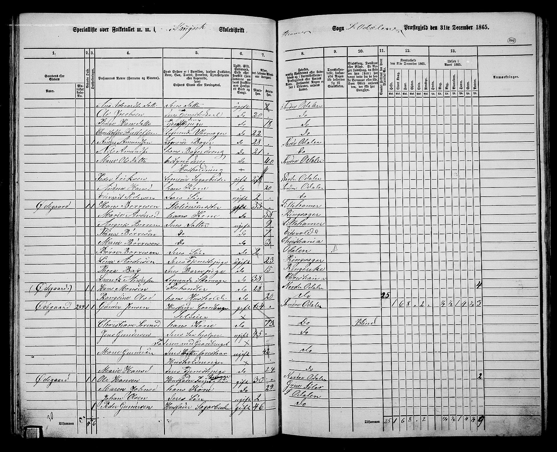 RA, 1865 census for Sør-Odal, 1865, p. 129