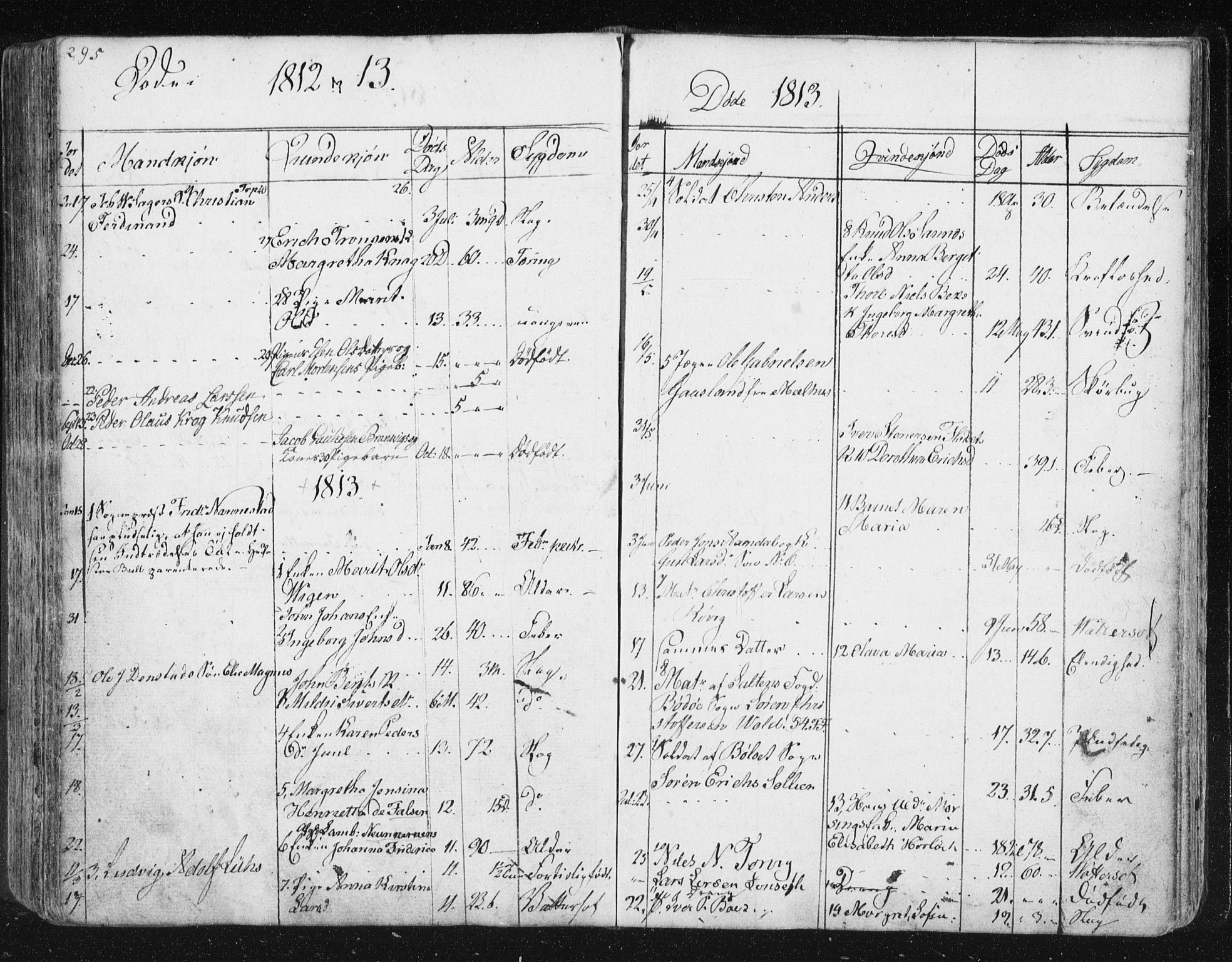 Ministerialprotokoller, klokkerbøker og fødselsregistre - Møre og Romsdal, SAT/A-1454/572/L0841: Parish register (official) no. 572A04, 1784-1819, p. 295