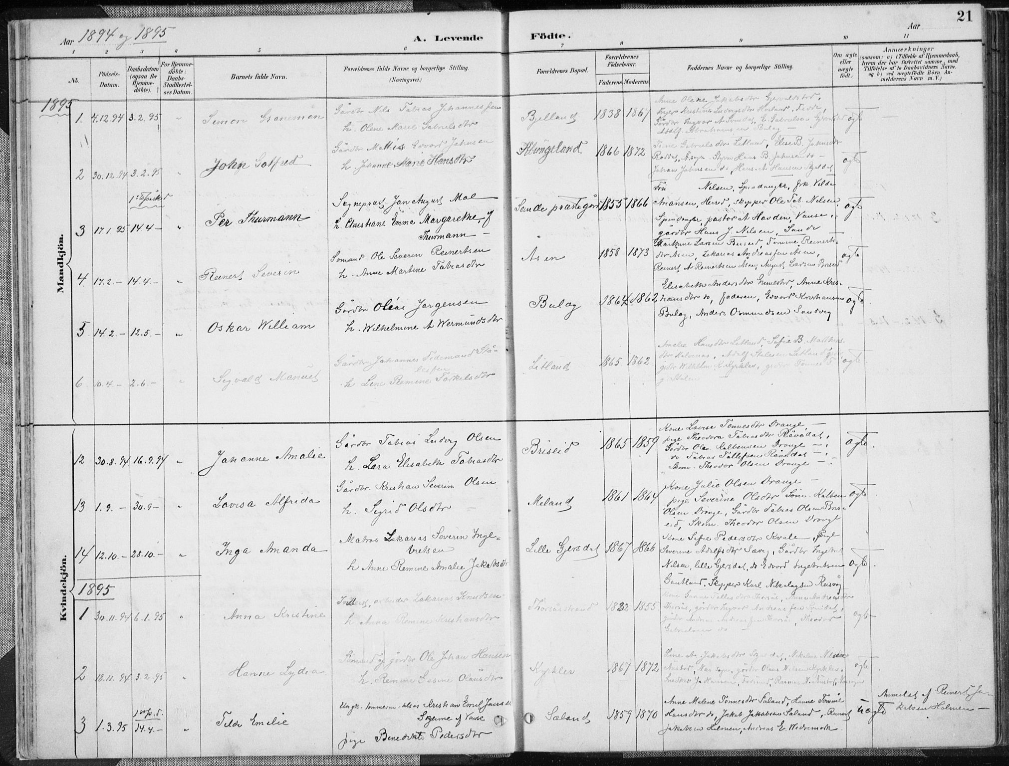 Herad sokneprestkontor, SAK/1111-0018/F/Fa/Faa/L0006: Parish register (official) no. A 6, 1887-1907, p. 21