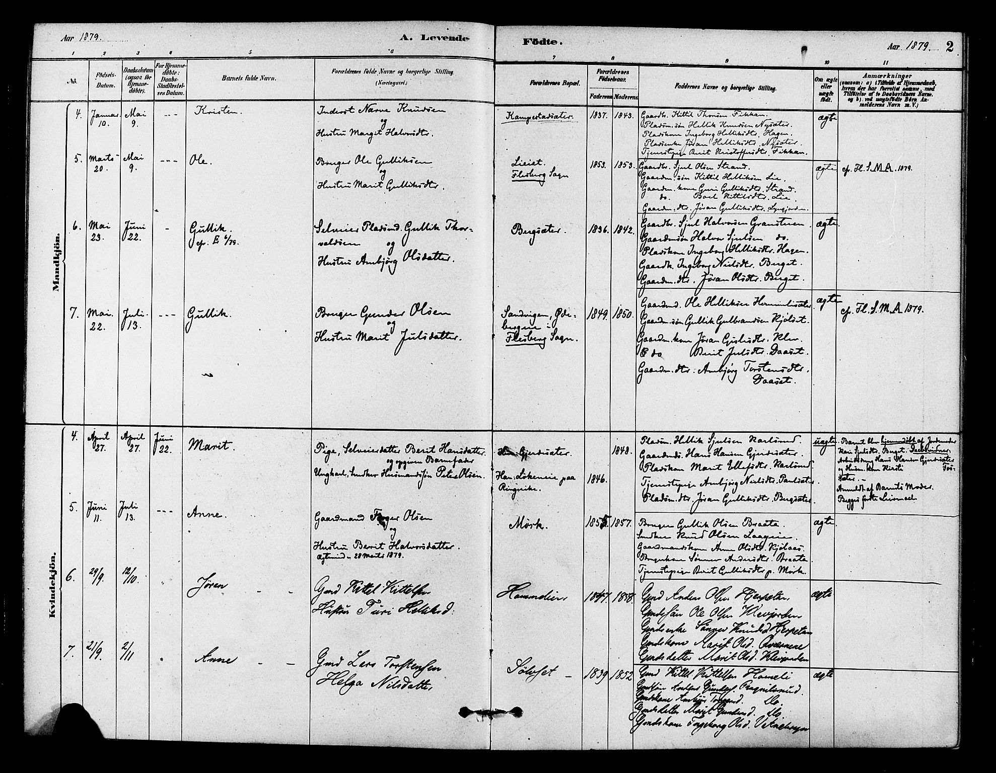 Flesberg kirkebøker, AV/SAKO-A-18/F/Fc/L0001: Parish register (official) no. III 1, 1879-1905, p. 2