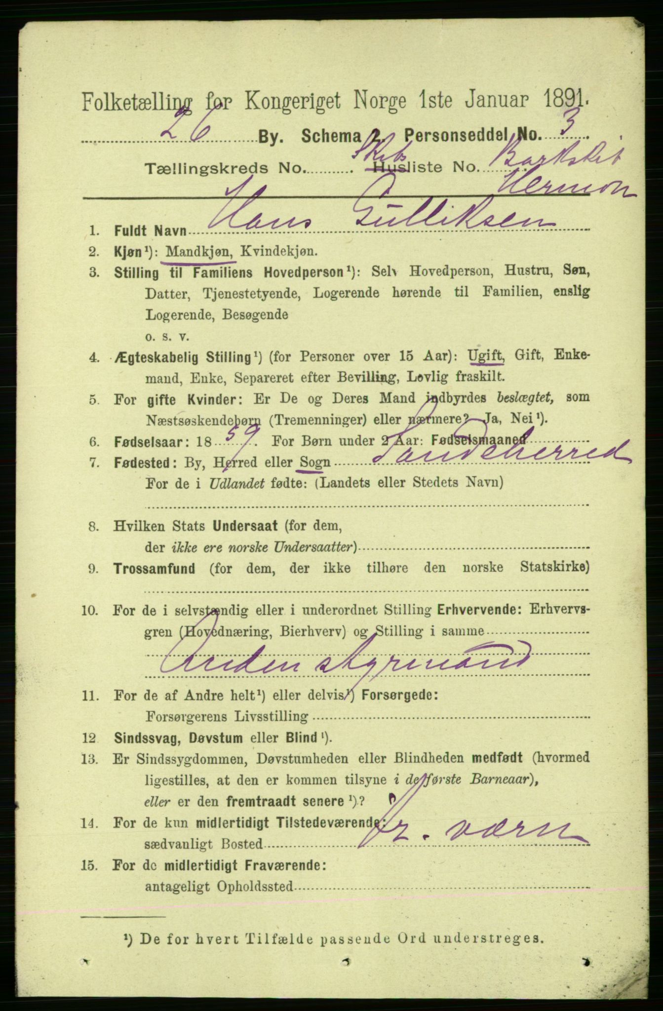 RA, 1891 census for 0802 Langesund, 1891, p. 1798