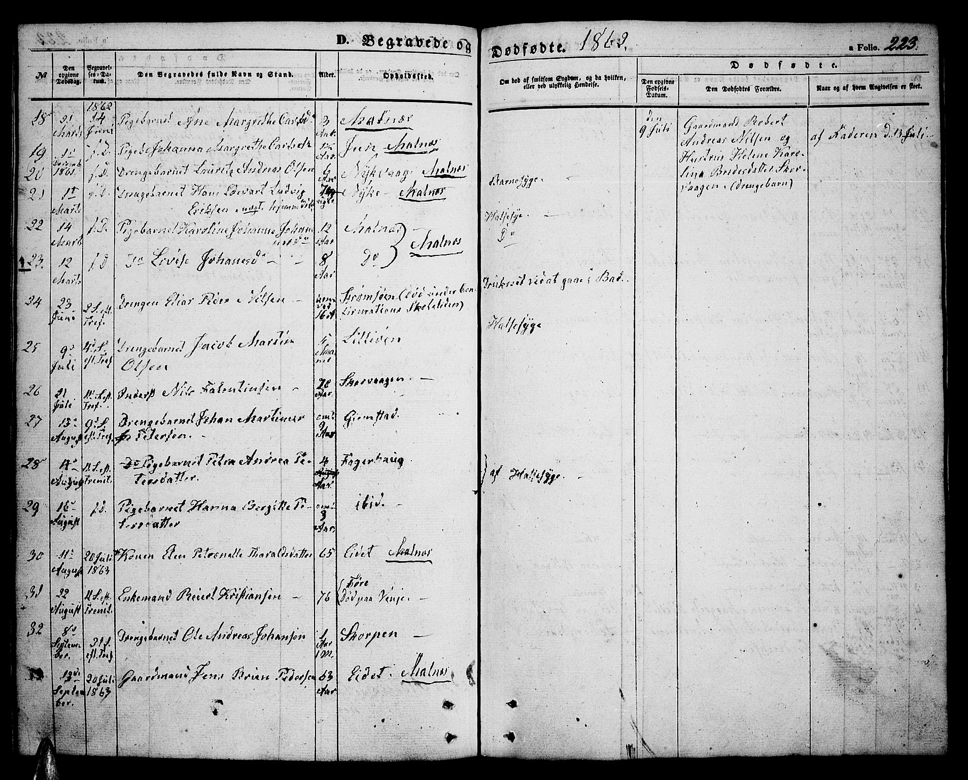 Ministerialprotokoller, klokkerbøker og fødselsregistre - Nordland, SAT/A-1459/891/L1313: Parish register (copy) no. 891C02, 1856-1870, p. 223