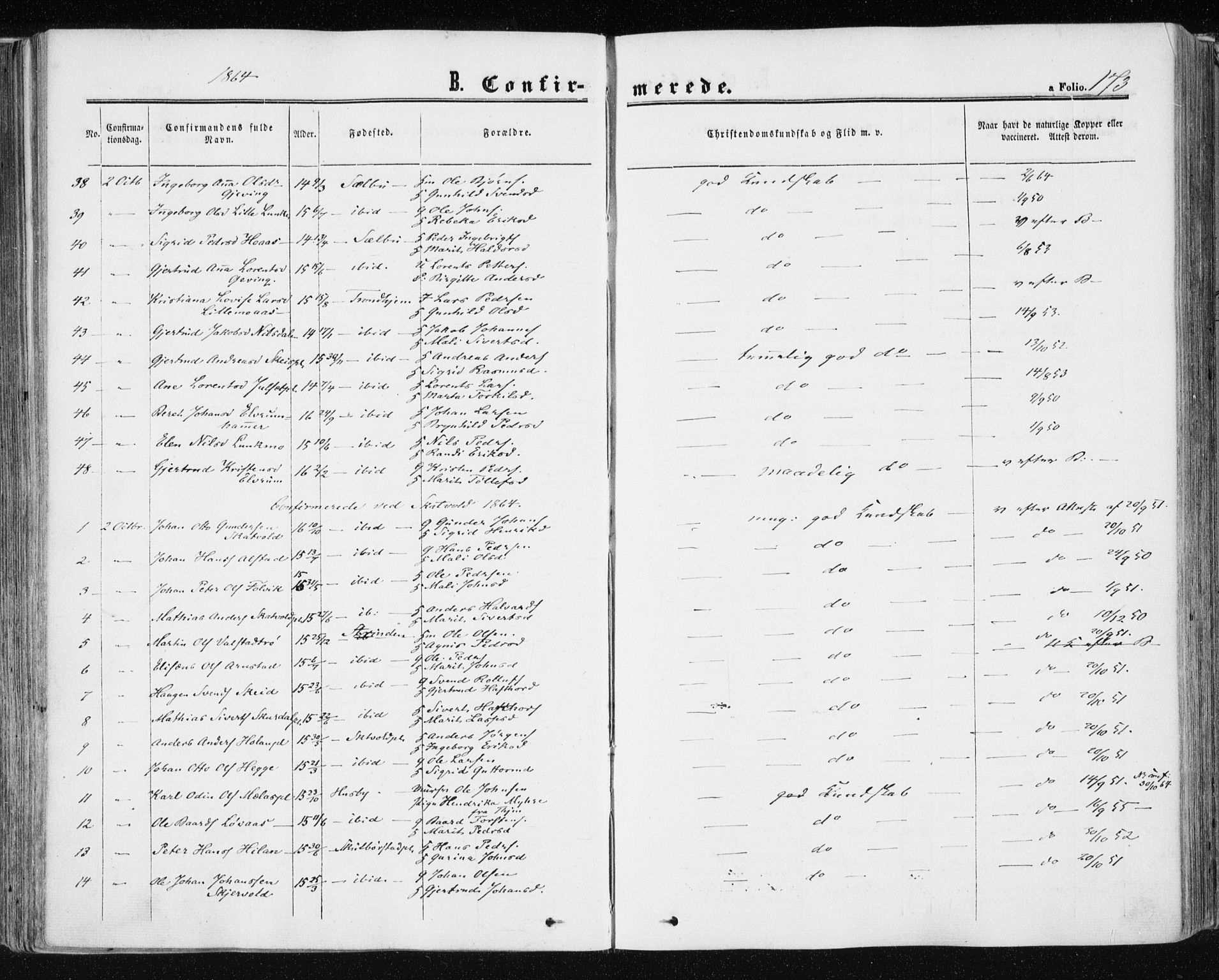 Ministerialprotokoller, klokkerbøker og fødselsregistre - Nord-Trøndelag, AV/SAT-A-1458/709/L0075: Parish register (official) no. 709A15, 1859-1870, p. 173