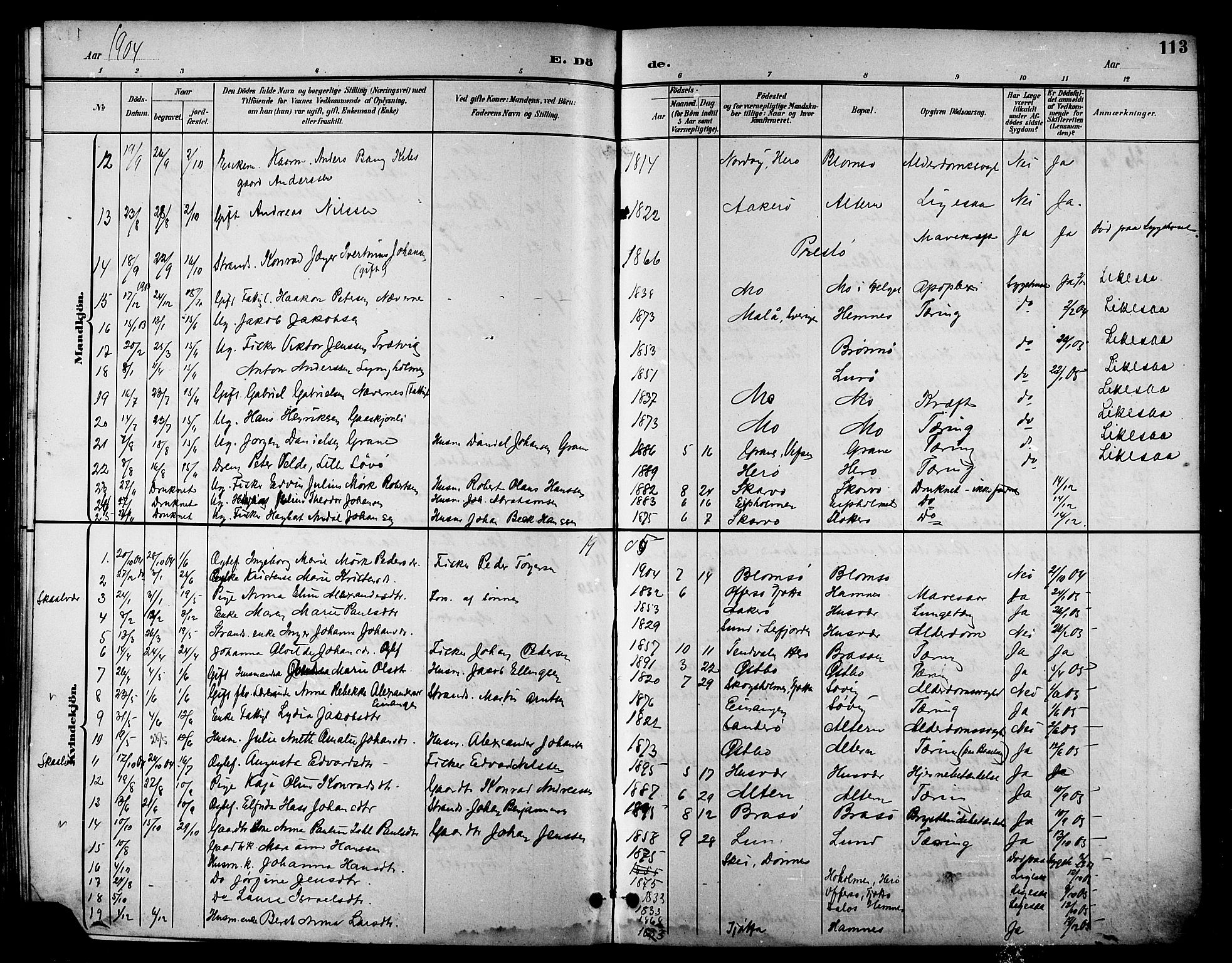 Ministerialprotokoller, klokkerbøker og fødselsregistre - Nordland, SAT/A-1459/830/L0463: Parish register (copy) no. 830C05, 1895-1906, p. 113