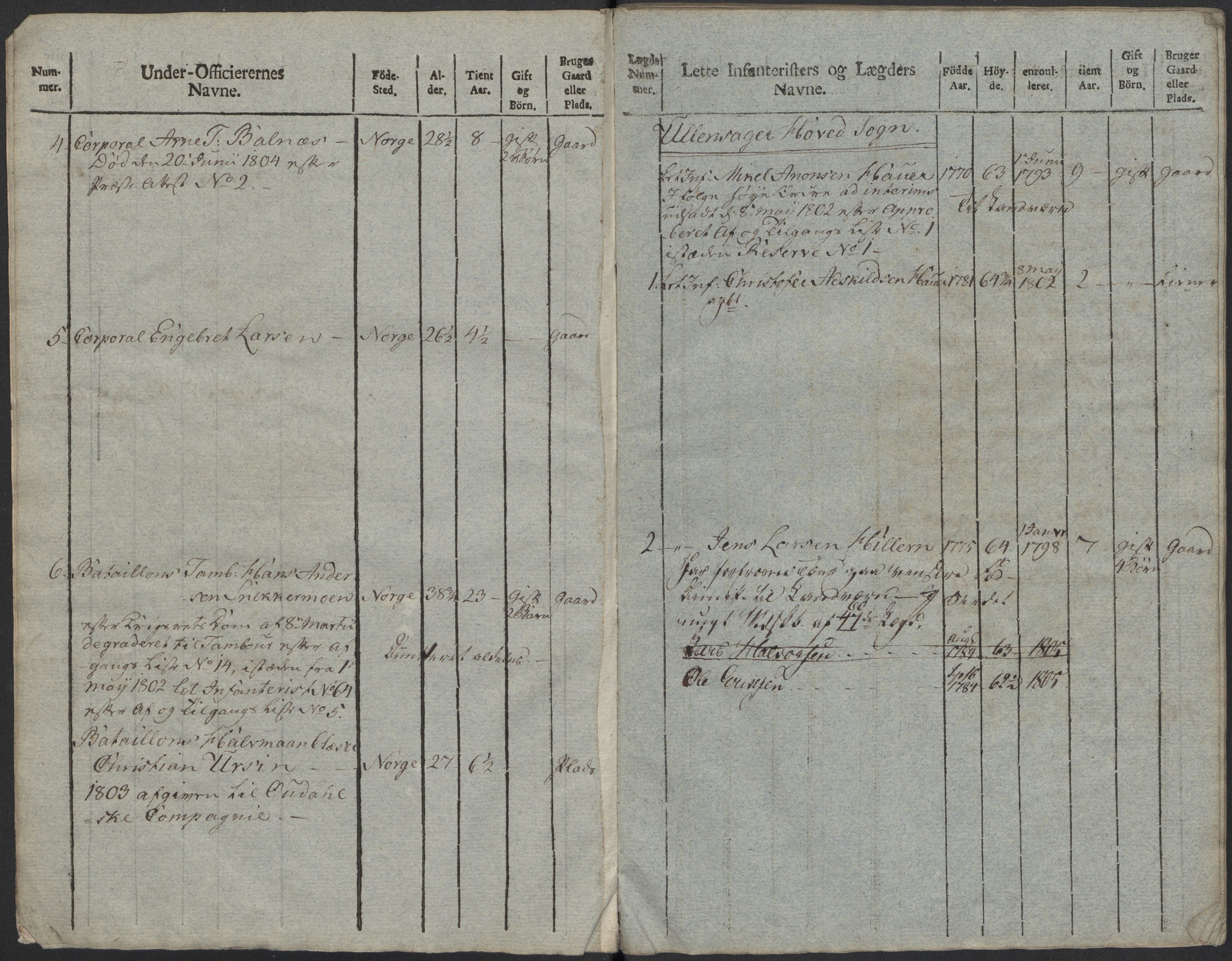 Generalitets- og kommissariatskollegiet, Det kongelige norske kommissariatskollegium, AV/RA-EA-5420/E/Eh/L0023: Norske jegerkorps, 1805, p. 462