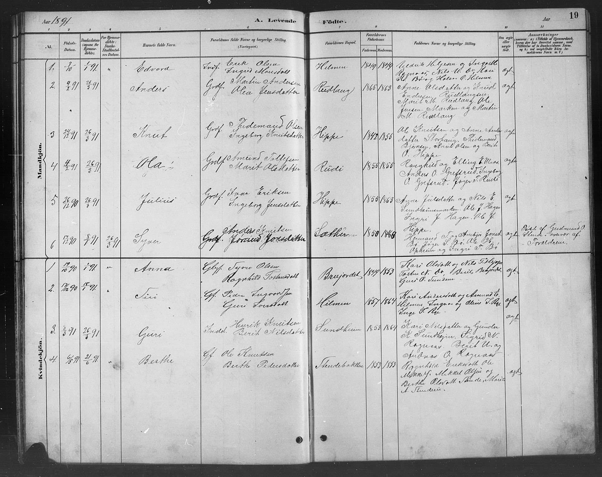 Nord-Aurdal prestekontor, SAH/PREST-132/H/Ha/Hab/L0008: Parish register (copy) no. 8, 1883-1916, p. 19