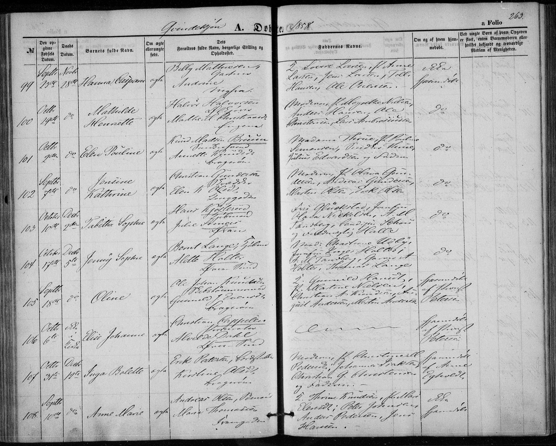 Bragernes kirkebøker, AV/SAKO-A-6/F/Fb/L0002: Parish register (official) no. II 2, 1848-1859, p. 263