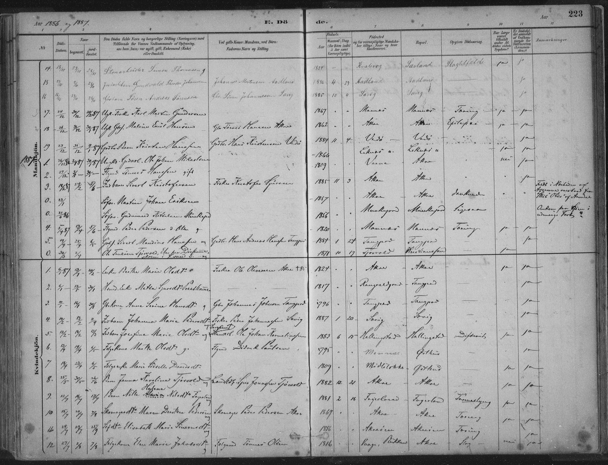 Kopervik sokneprestkontor, SAST/A-101850/H/Ha/Haa/L0004: Parish register (official) no. A 4, 1882-1905, p. 223