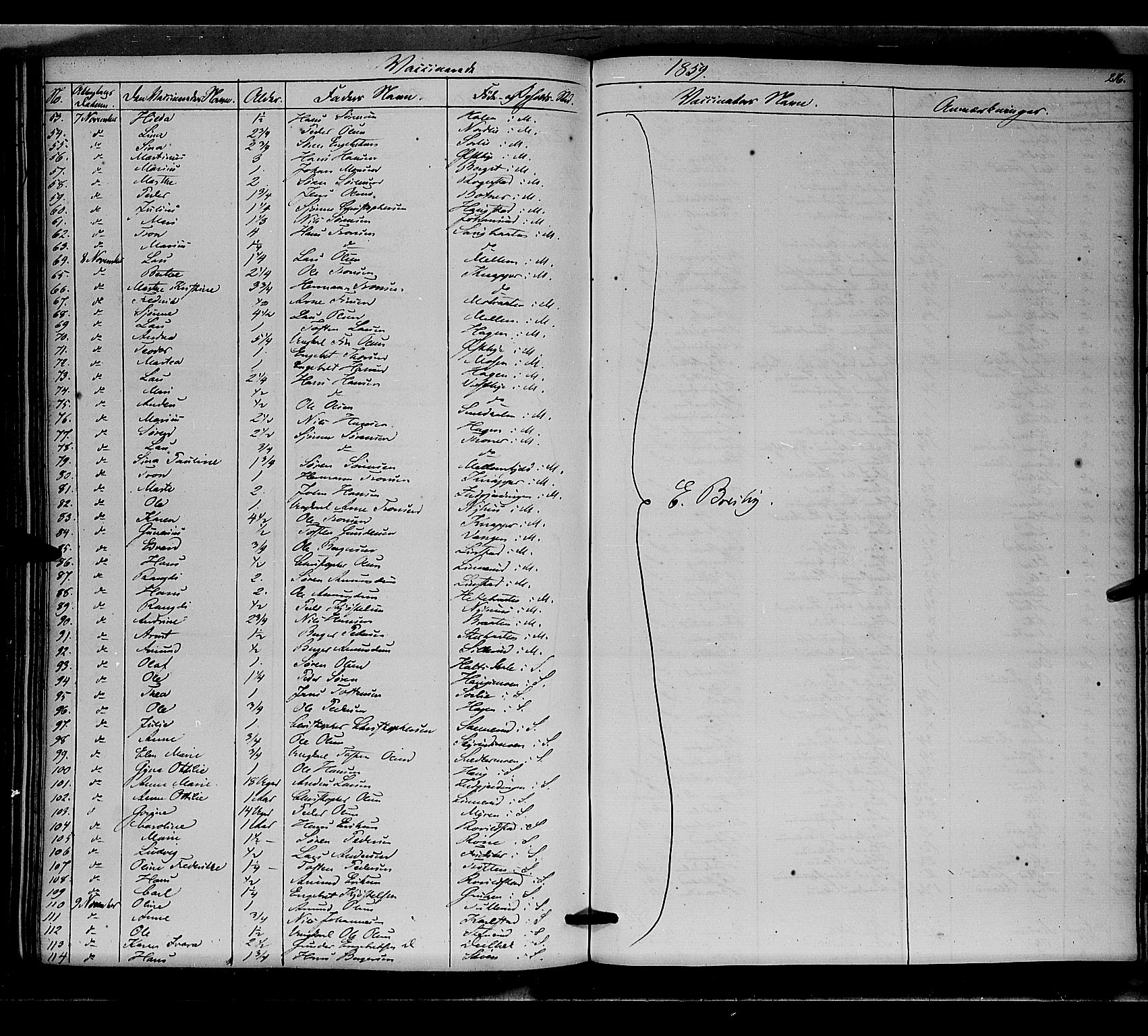 Nord-Odal prestekontor, SAH/PREST-032/H/Ha/Haa/L0003: Parish register (official) no. 3, 1851-1865, p. 216