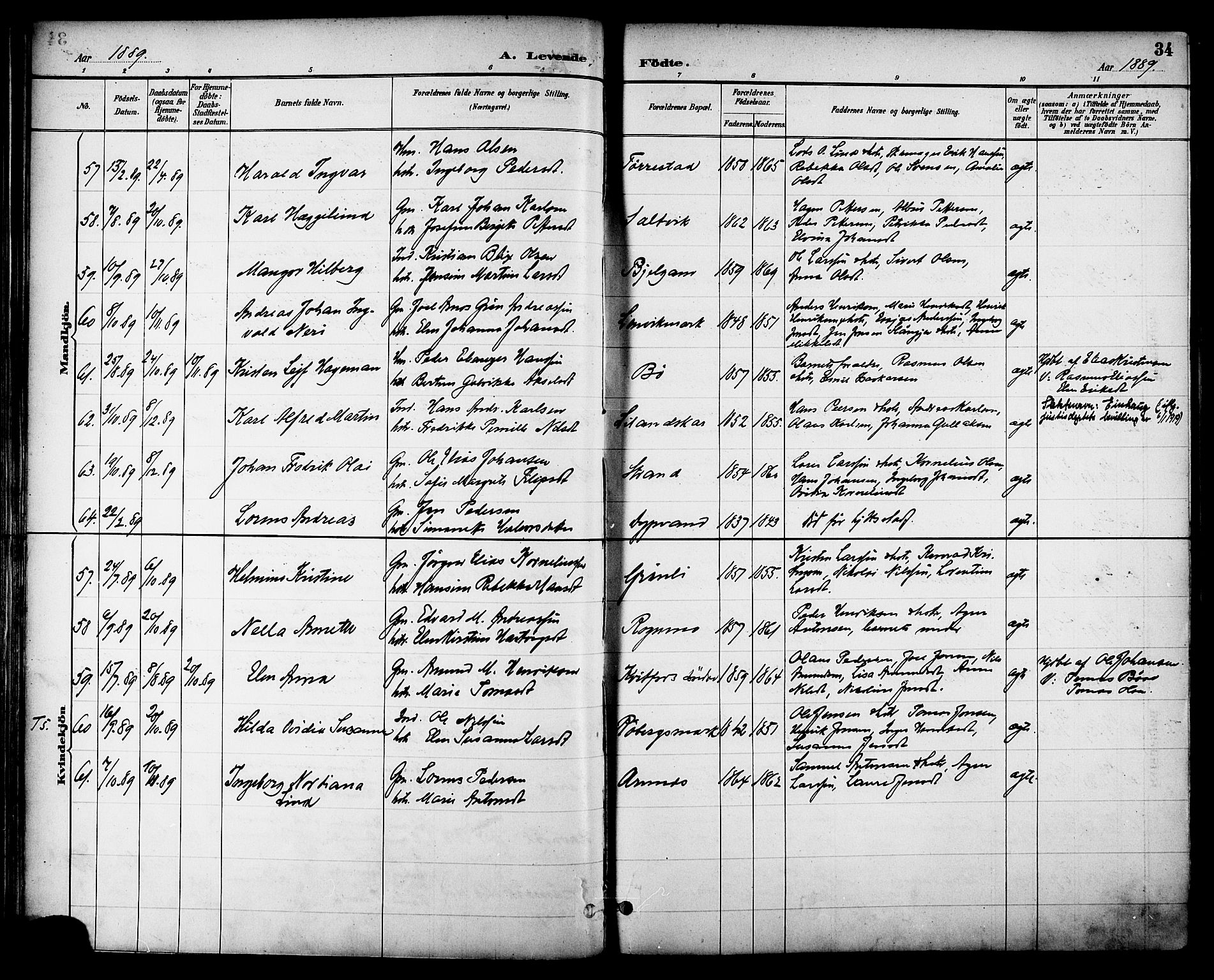 Ministerialprotokoller, klokkerbøker og fødselsregistre - Nordland, AV/SAT-A-1459/863/L0898: Parish register (official) no. 863A10, 1886-1897, p. 34