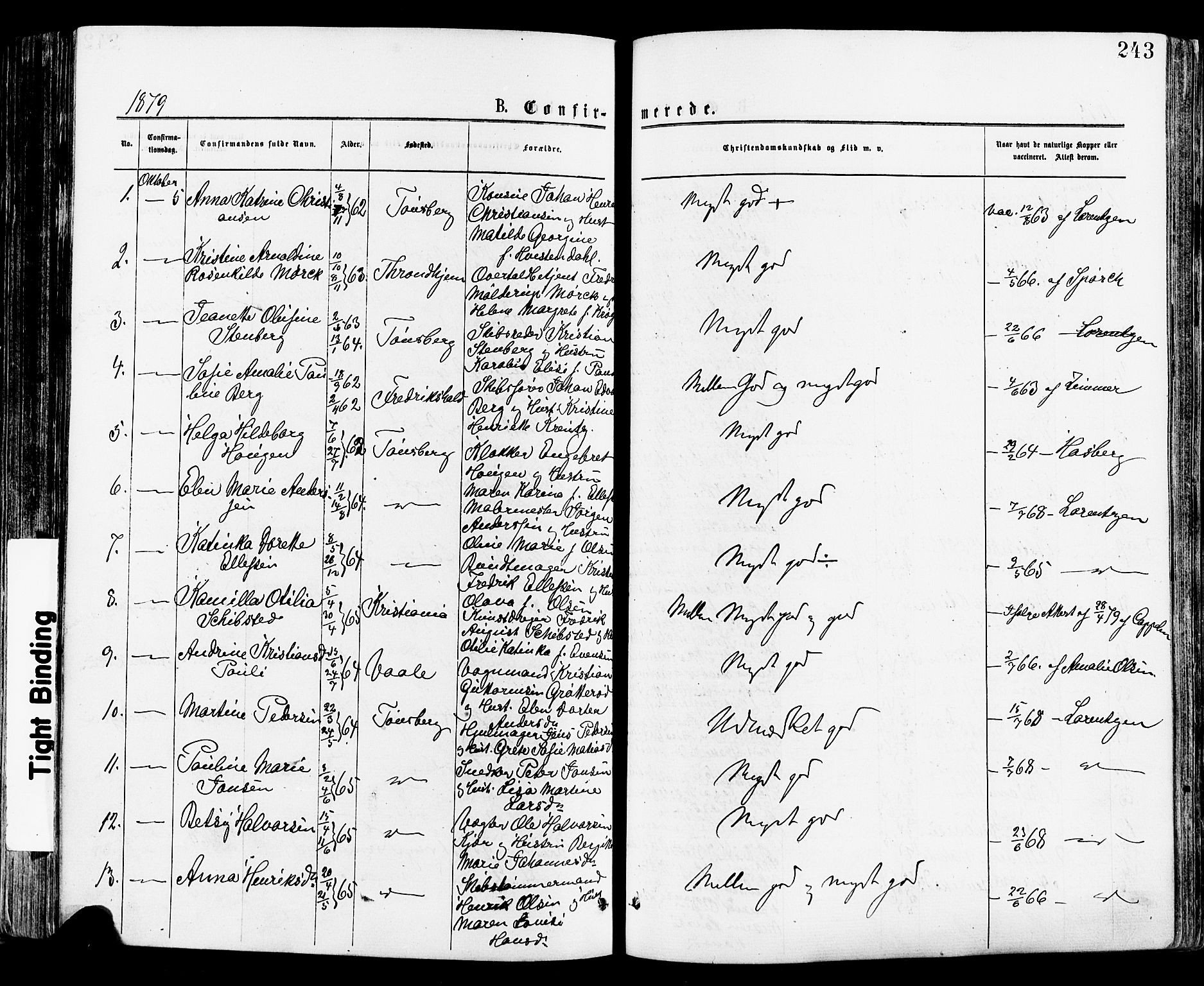 Tønsberg kirkebøker, AV/SAKO-A-330/F/Fa/L0010: Parish register (official) no. I 10, 1874-1880, p. 243