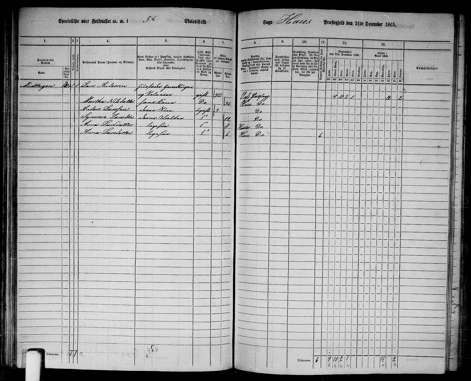 RA, 1865 census for Haus, 1865, p. 111