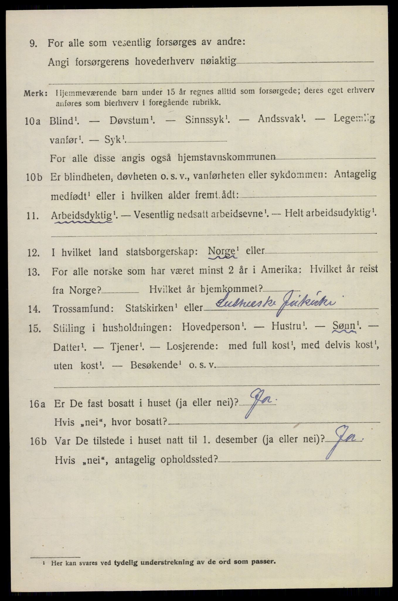 SAO, 1920 census for Nes, 1920, p. 13963