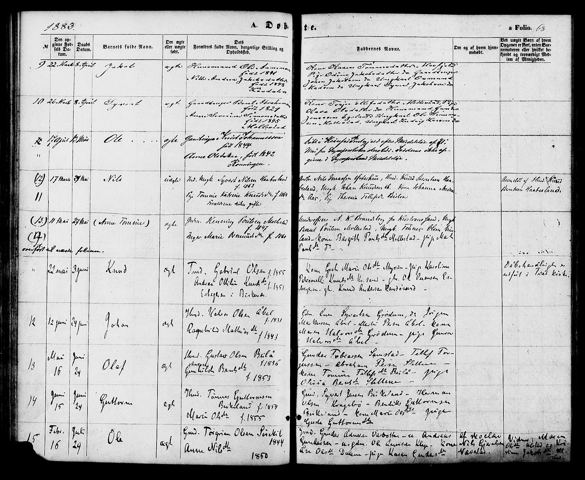 Birkenes sokneprestkontor, AV/SAK-1111-0004/F/Fa/L0004: Parish register (official) no. A 4, 1867-1886, p. 68