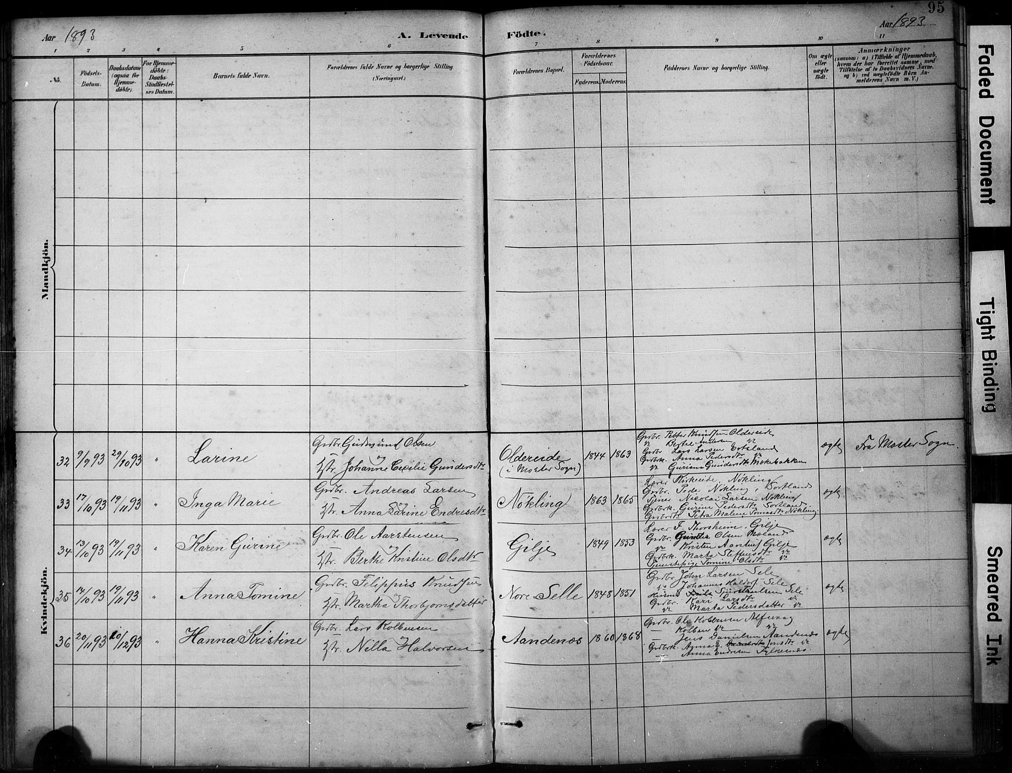 Finnås sokneprestembete, SAB/A-99925/H/Ha/Hab/Habb/L0003: Parish register (copy) no. B 3, 1882-1897, p. 95