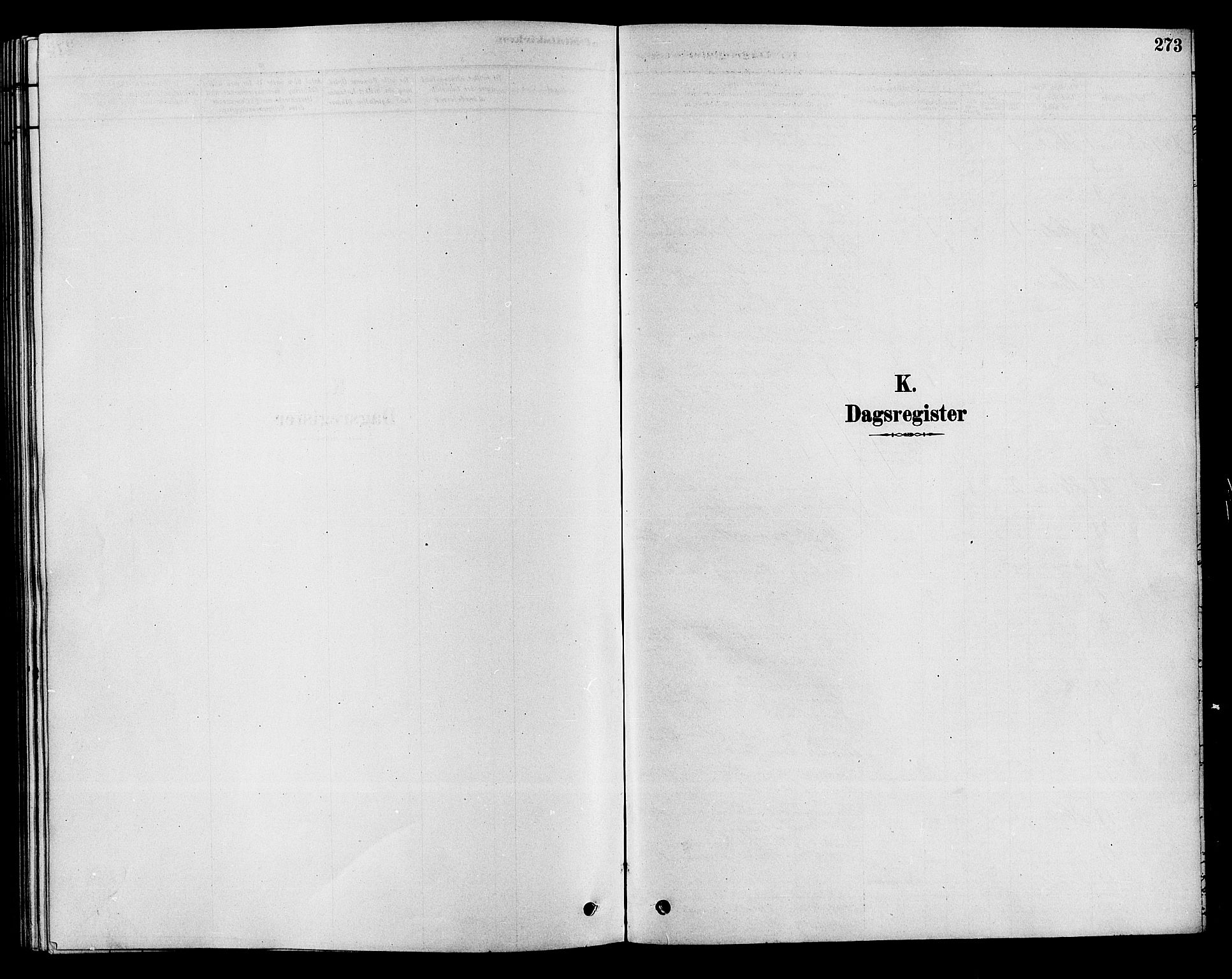 Hole kirkebøker, SAKO/A-228/F/Fa/L0008: Parish register (official) no. I 8, 1878-1891, p. 273