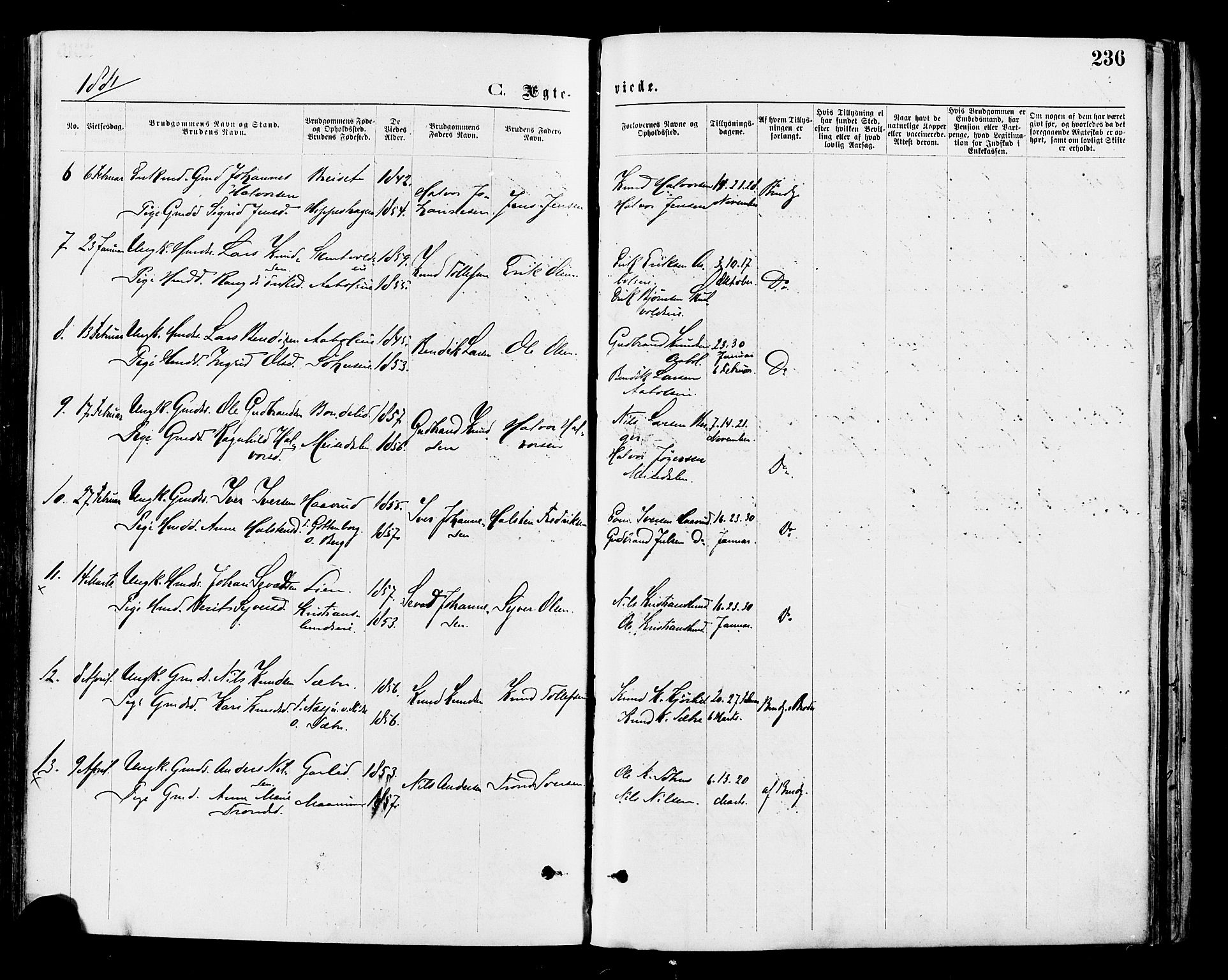 Nord-Aurdal prestekontor, SAH/PREST-132/H/Ha/Haa/L0009: Parish register (official) no. 9, 1876-1882, p. 236