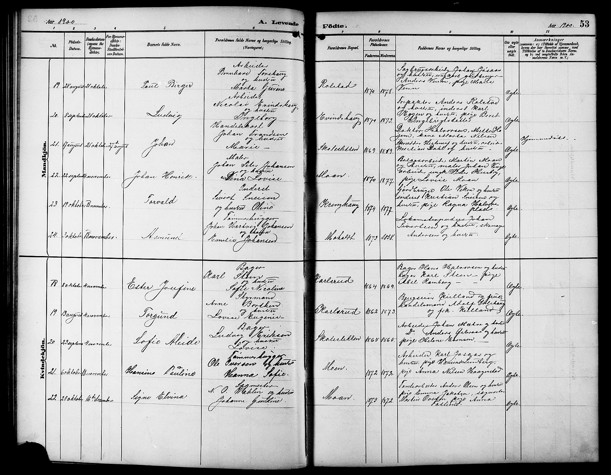 Ministerialprotokoller, klokkerbøker og fødselsregistre - Sør-Trøndelag, SAT/A-1456/617/L0431: Parish register (copy) no. 617C01, 1889-1910, p. 53