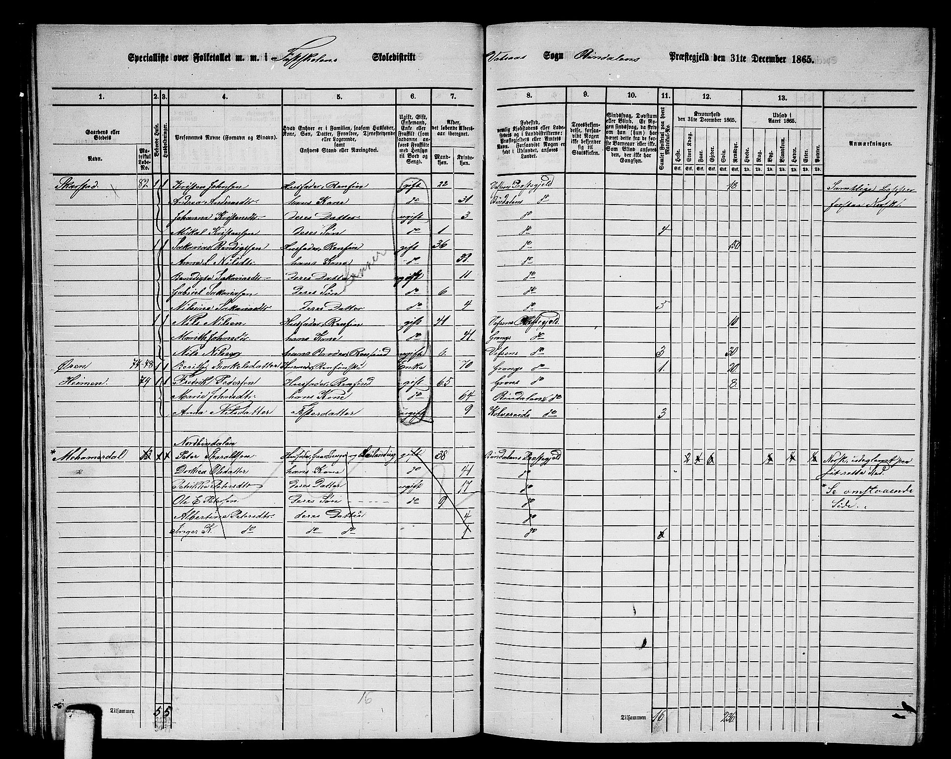 RA, 1865 census for Bindal, 1865, p. 28