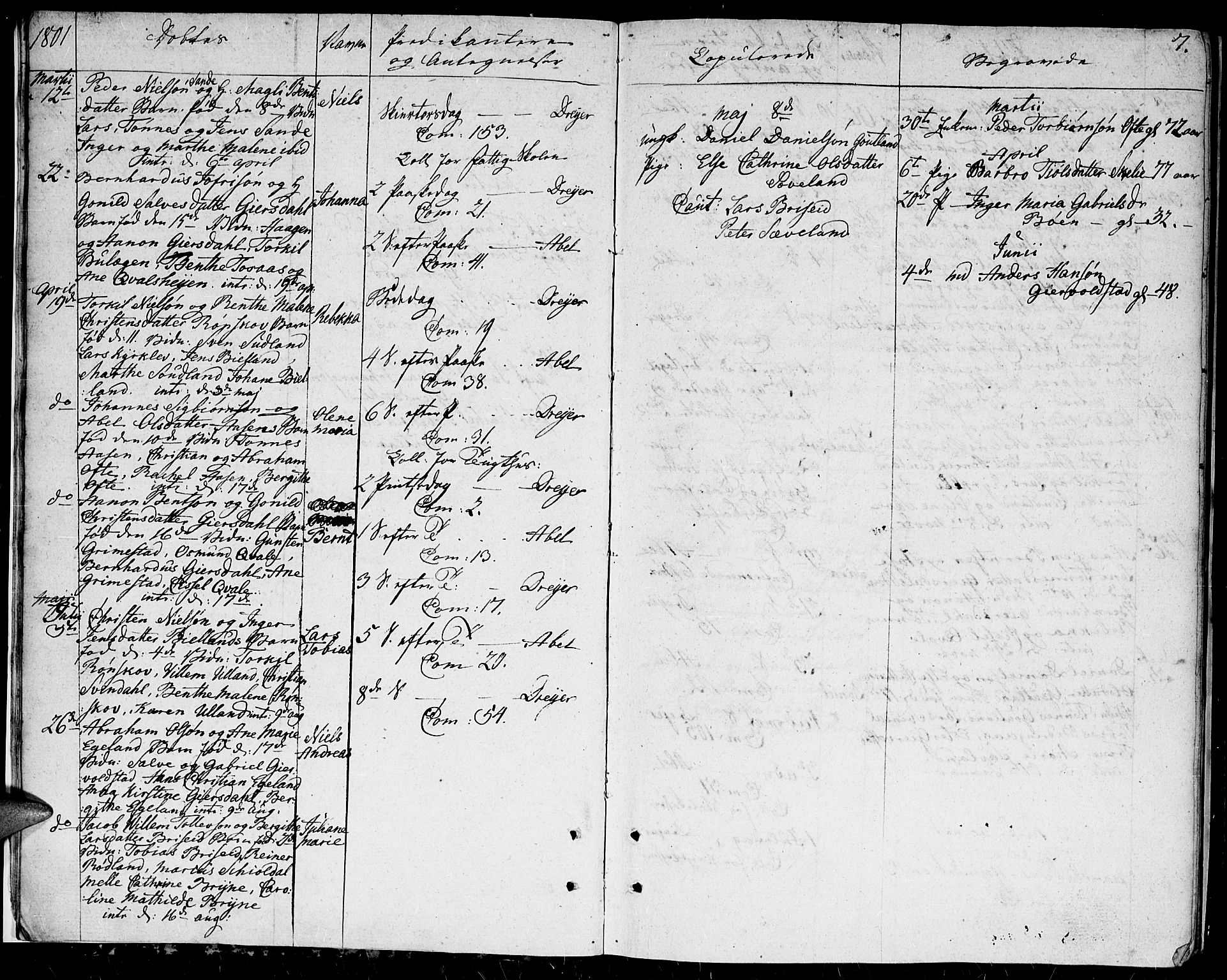 Herad sokneprestkontor, AV/SAK-1111-0018/F/Fa/Faa/L0002: Parish register (official) no. A 2, 1800-1815, p. 7