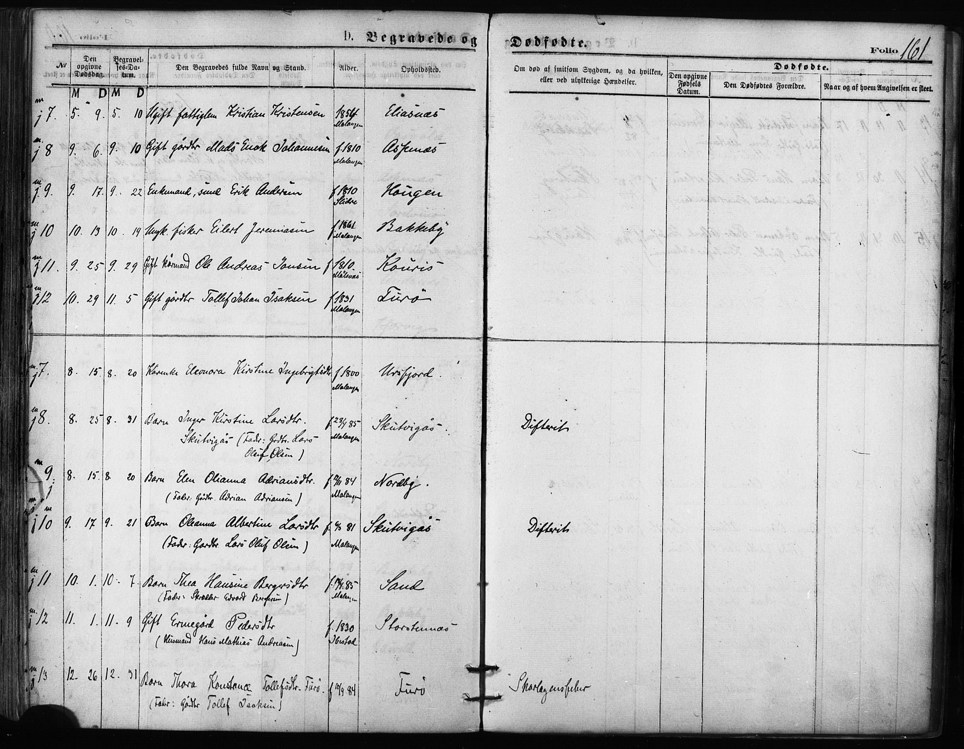 Balsfjord sokneprestembete, SATØ/S-1303/G/Ga/L0002kirke: Parish register (official) no. 2, 1871-1886, p. 161