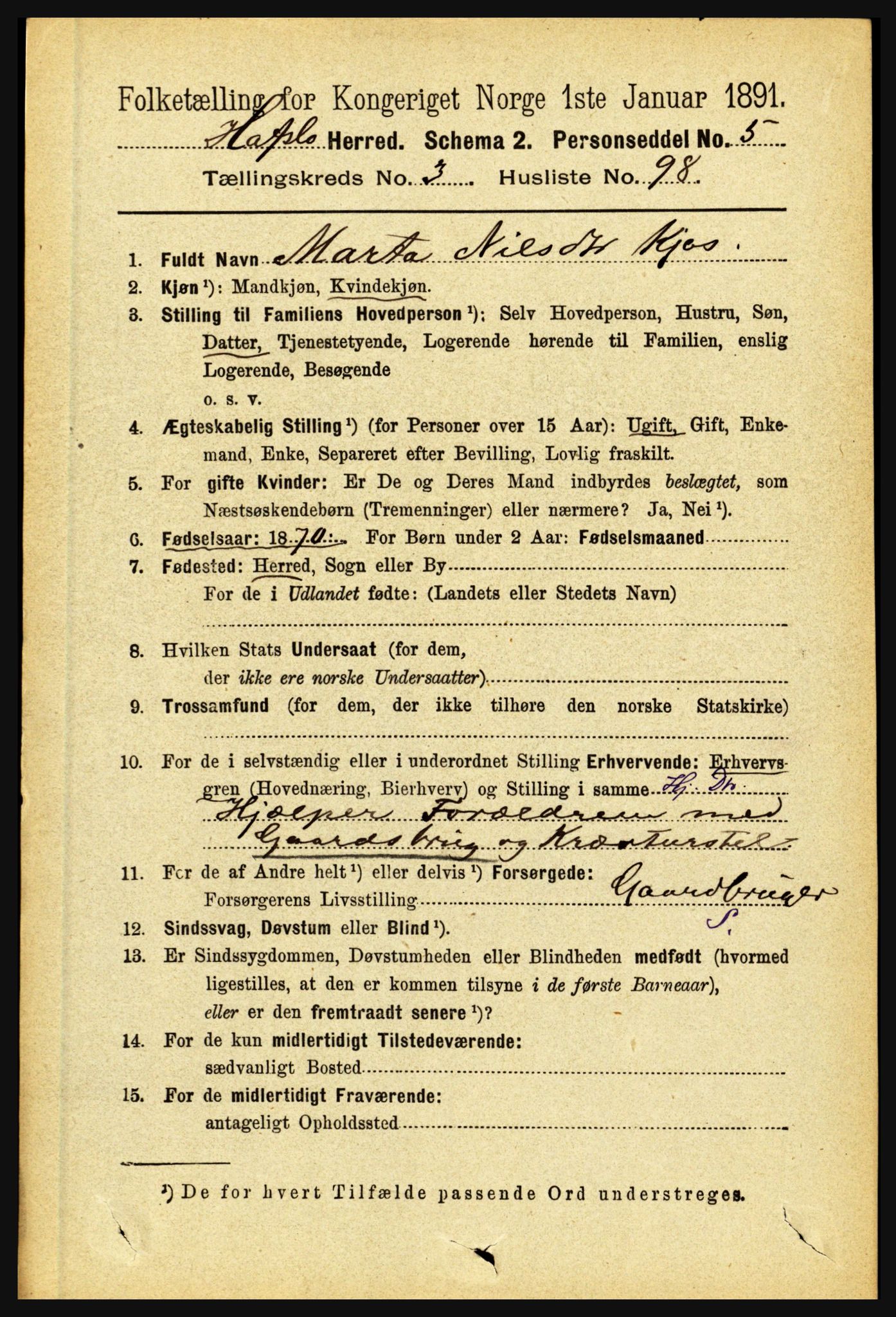 RA, 1891 census for 1425 Hafslo, 1891, p. 1508