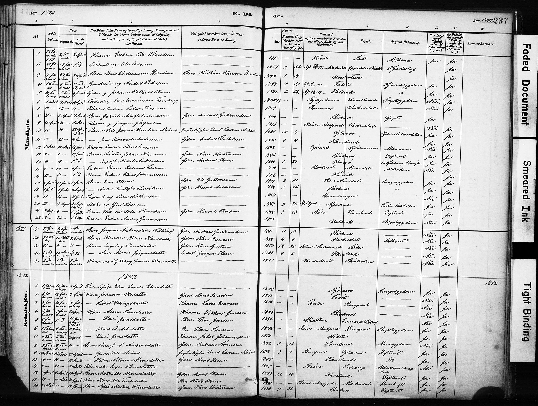 Gulen sokneprestembete, SAB/A-80201/H/Haa/Haab/L0001: Parish register (official) no. B 1, 1881-1905, p. 237