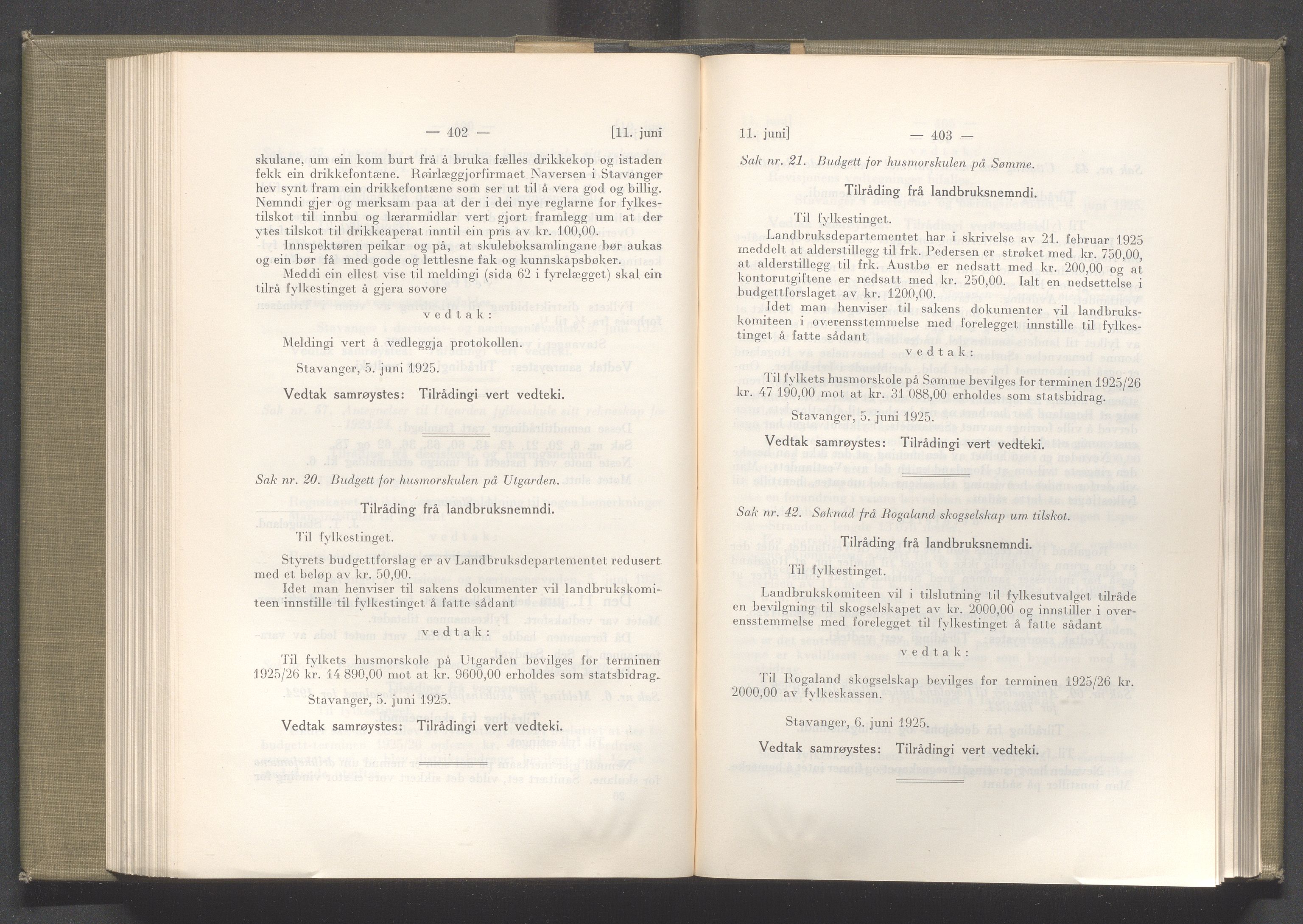 Rogaland fylkeskommune - Fylkesrådmannen , IKAR/A-900/A/Aa/Aaa/L0044: Møtebok , 1925, p. 402-403