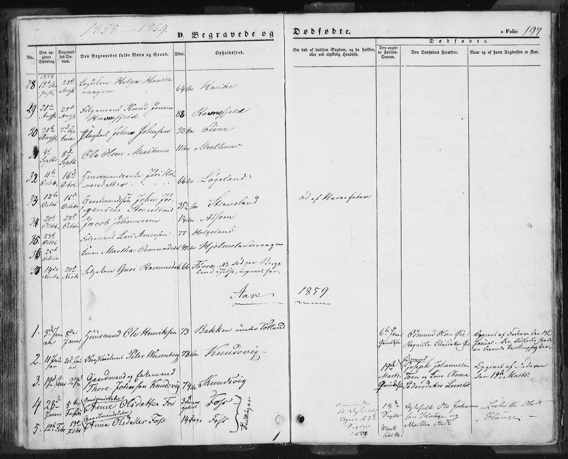 Hjelmeland sokneprestkontor, AV/SAST-A-101843/01/IV/L0009: Parish register (official) no. A 9, 1846-1860, p. 197