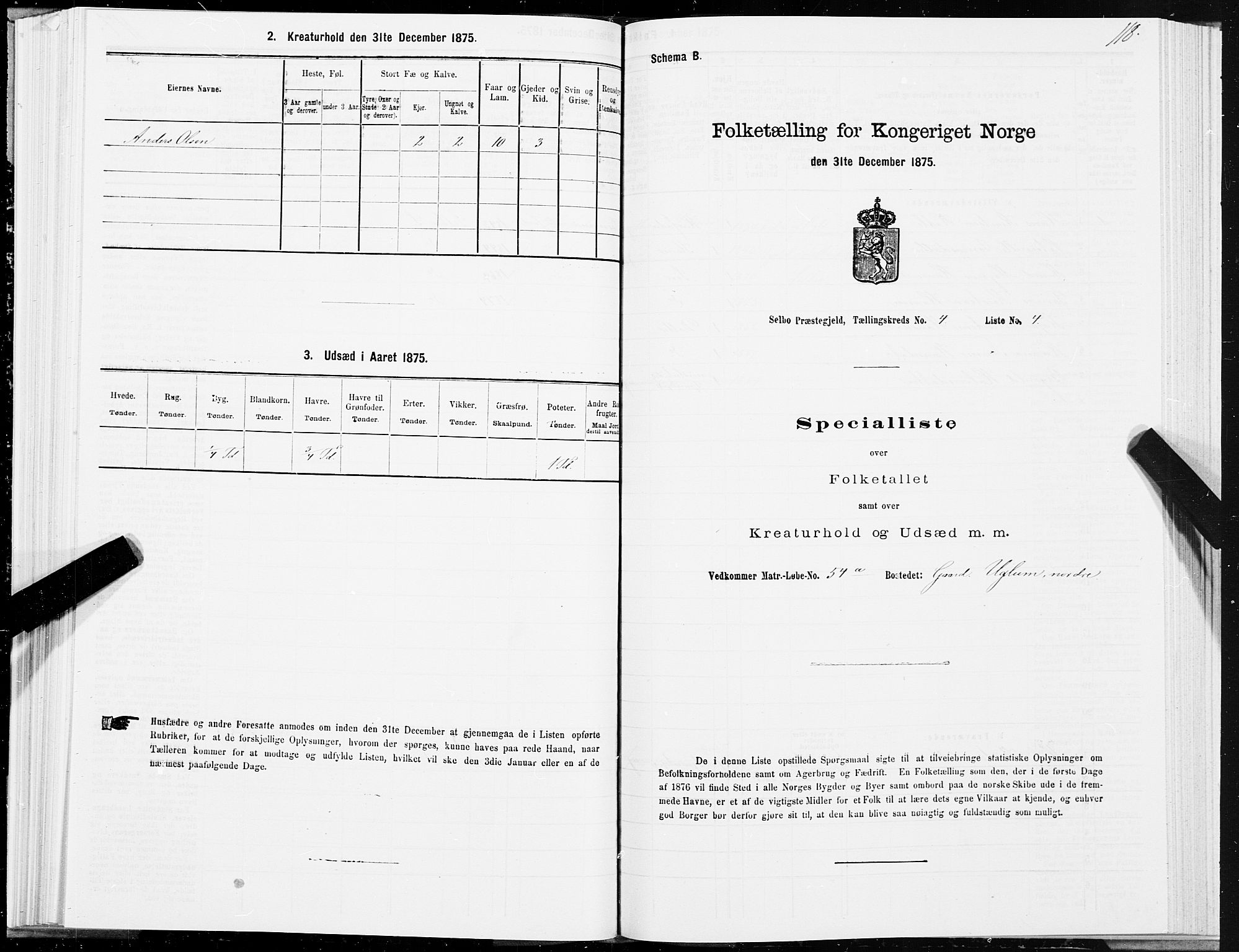 SAT, 1875 census for 1664P Selbu, 1875, p. 2118