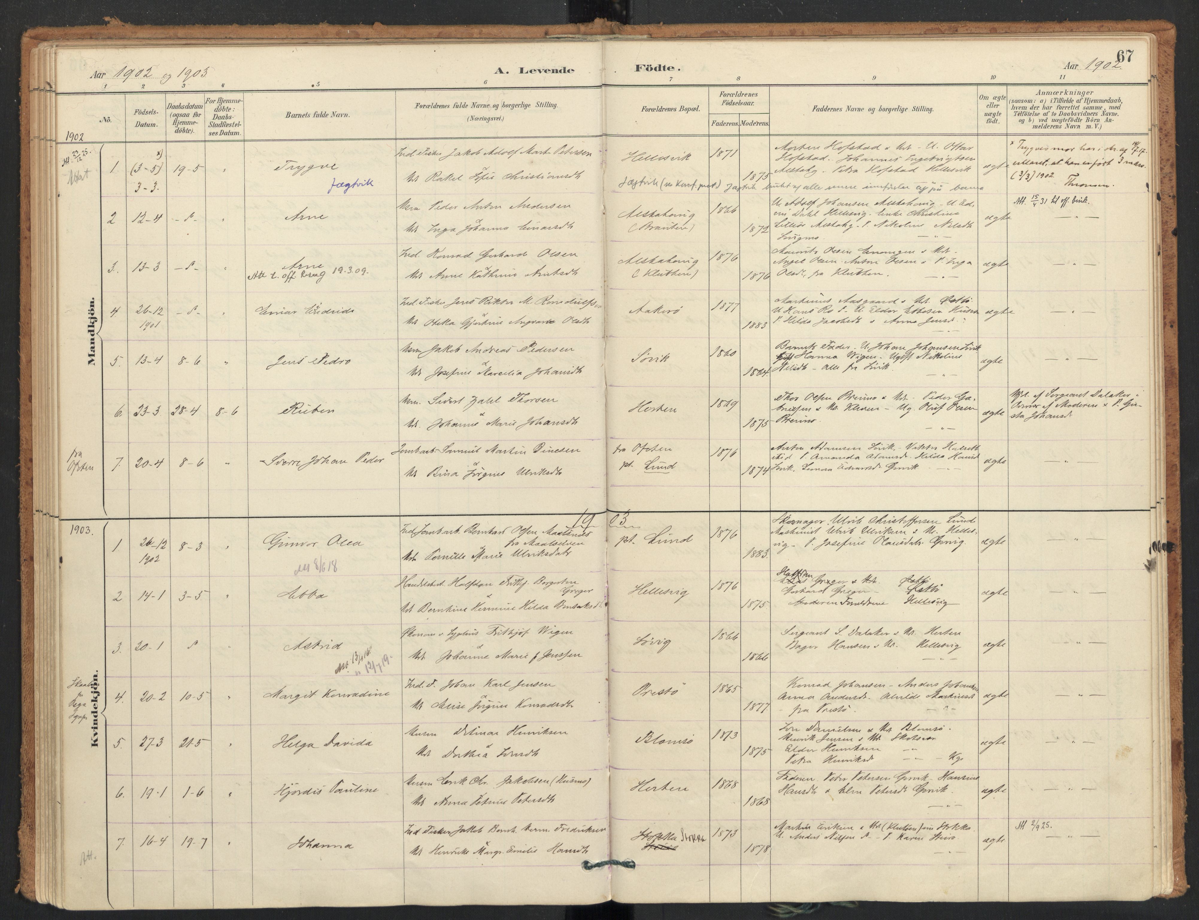 Ministerialprotokoller, klokkerbøker og fødselsregistre - Nordland, SAT/A-1459/830/L0453: Parish register (official) no. 830A17, 1886-1911, p. 67