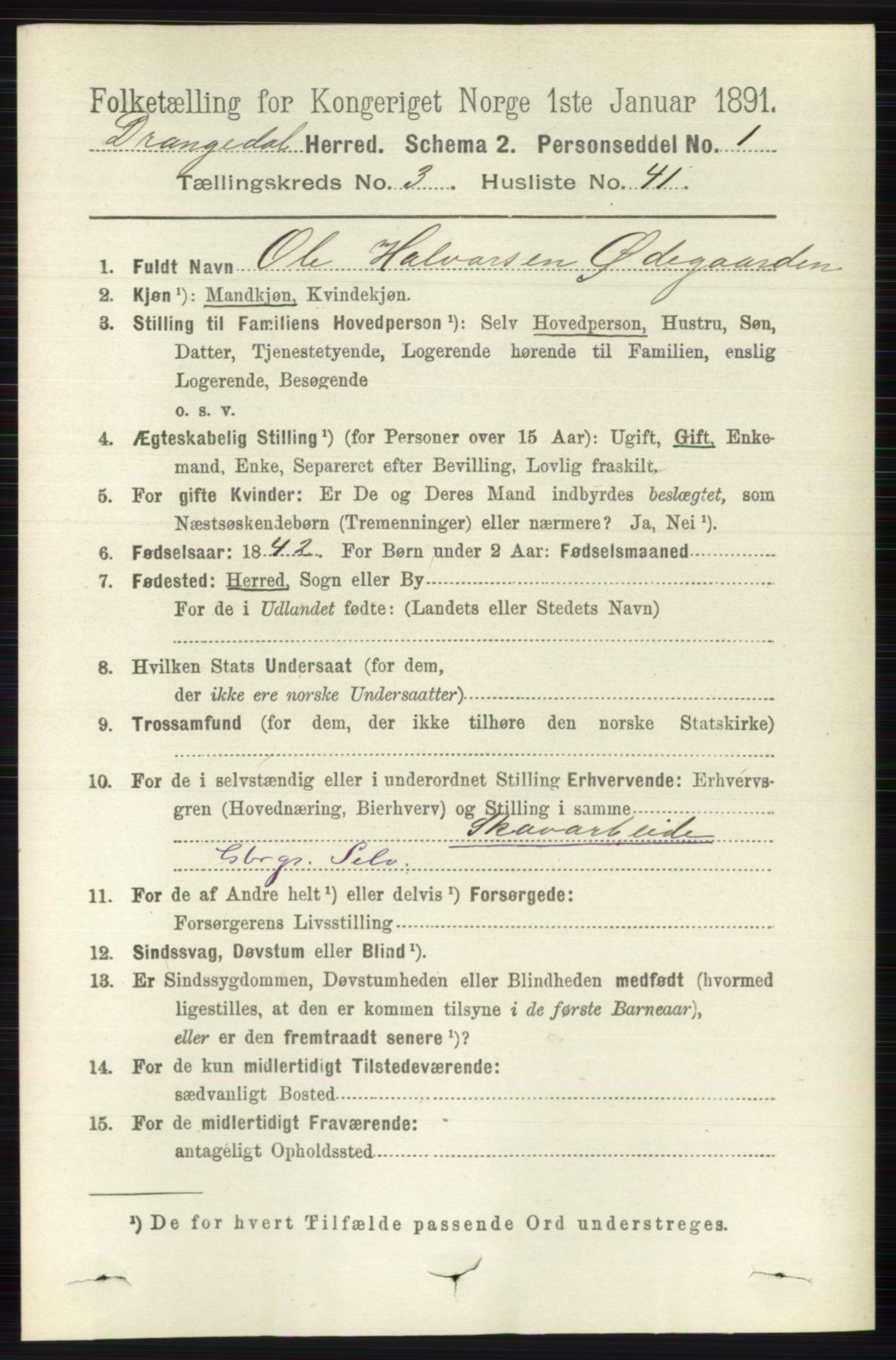 RA, 1891 census for 0817 Drangedal, 1891, p. 1119