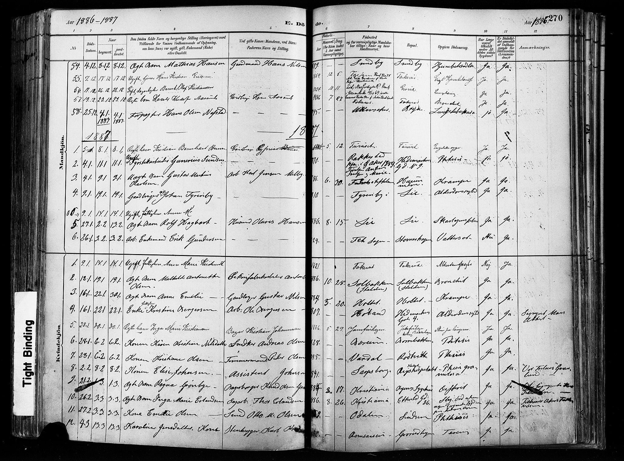 Østre Aker prestekontor Kirkebøker, AV/SAO-A-10840/F/Fa/L0008: Parish register (official) no. I 8, 1883-1894, p. 270