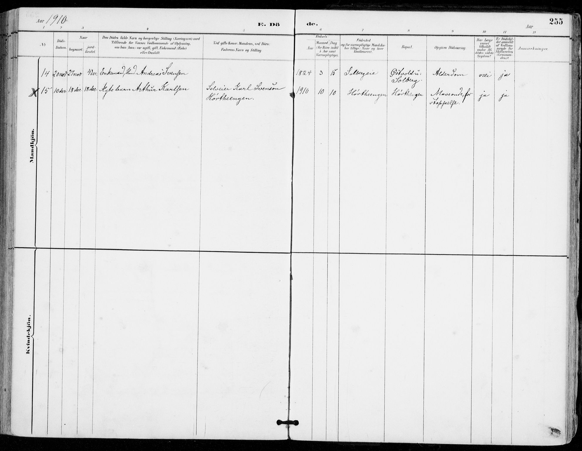 Sylling kirkebøker, AV/SAKO-A-247/F/Fa/L0001: Parish register (official) no. 1, 1883-1910, p. 255