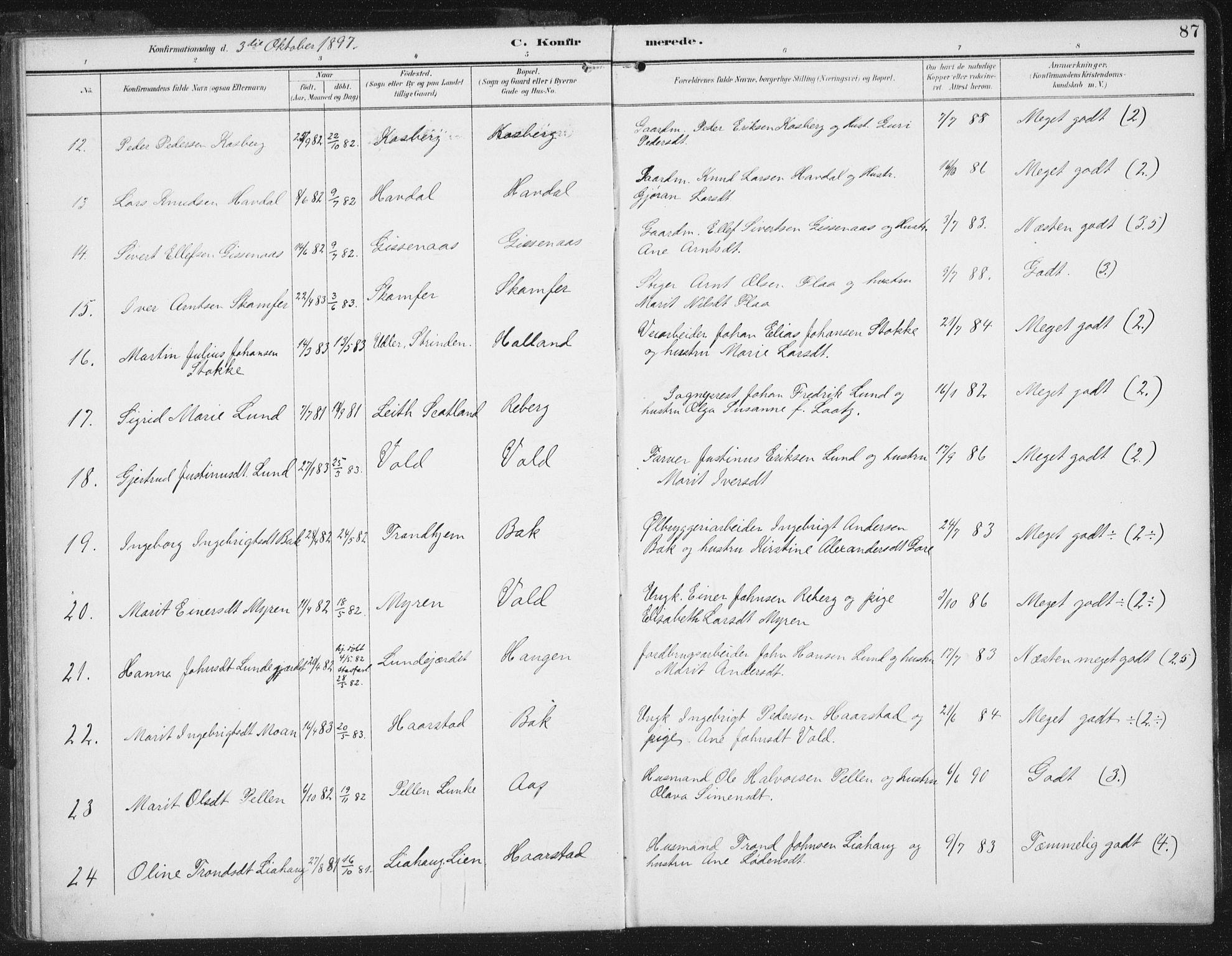 Ministerialprotokoller, klokkerbøker og fødselsregistre - Sør-Trøndelag, SAT/A-1456/674/L0872: Parish register (official) no. 674A04, 1897-1907, p. 87