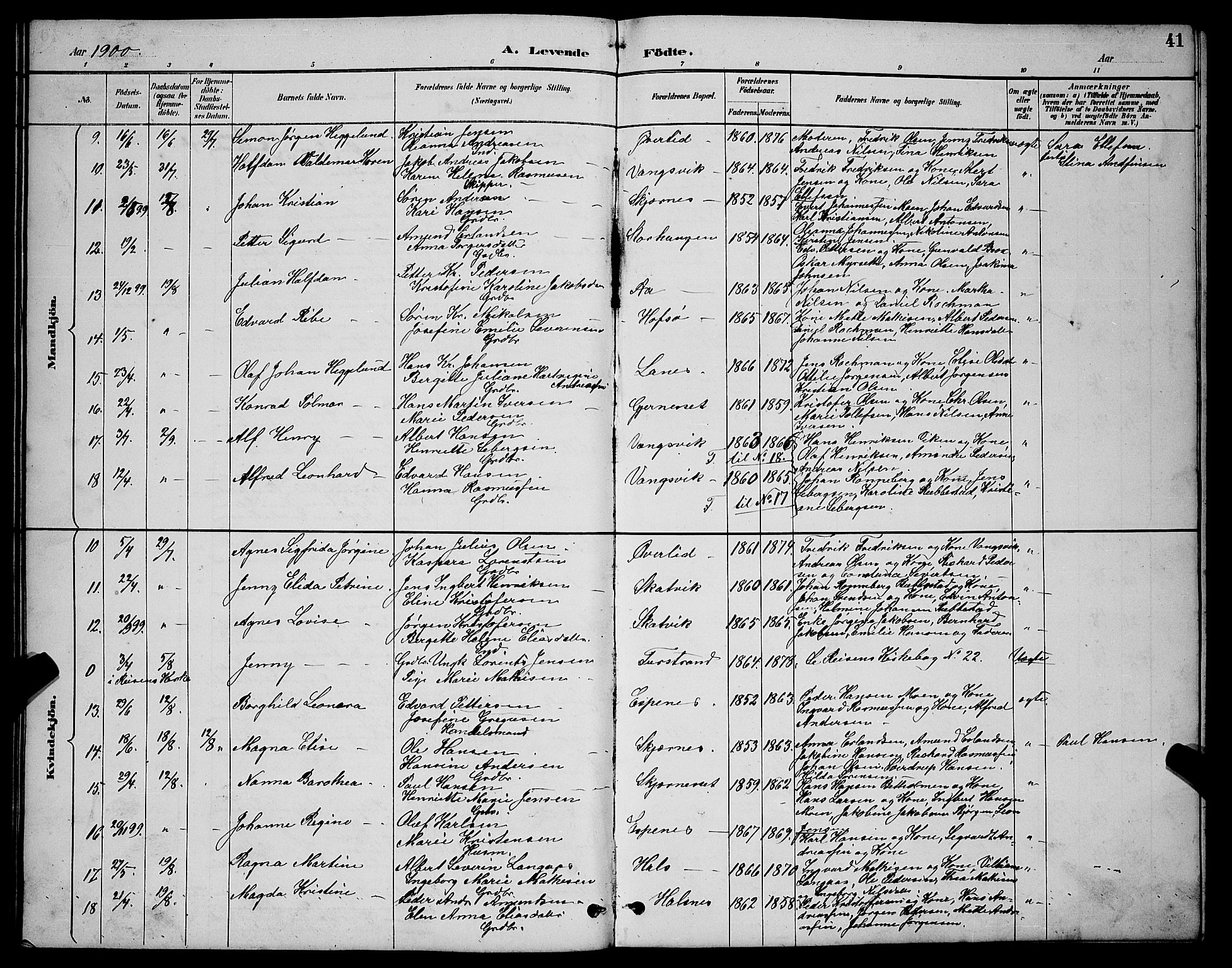 Tranøy sokneprestkontor, AV/SATØ-S-1313/I/Ia/Iab/L0004klokker: Parish register (copy) no. 4, 1888-1901, p. 41
