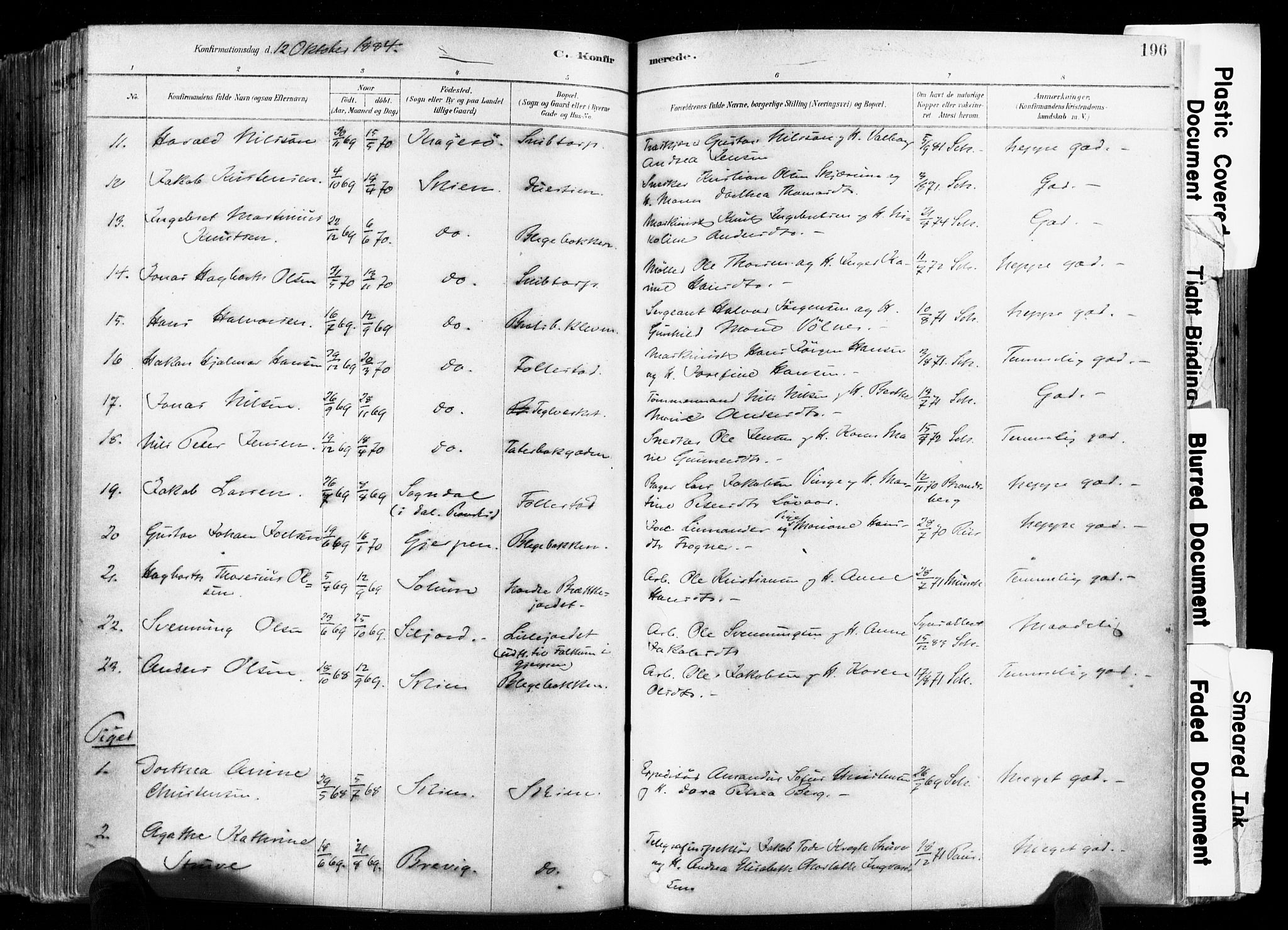 Skien kirkebøker, AV/SAKO-A-302/F/Fa/L0009: Parish register (official) no. 9, 1878-1890, p. 196