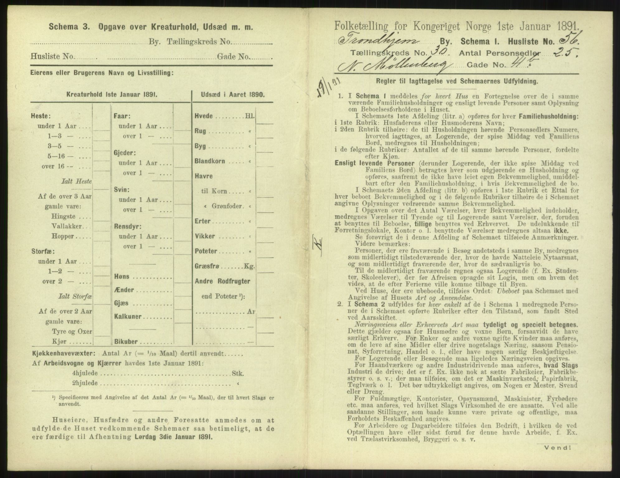 RA, 1891 census for 1601 Trondheim, 1891, p. 2304