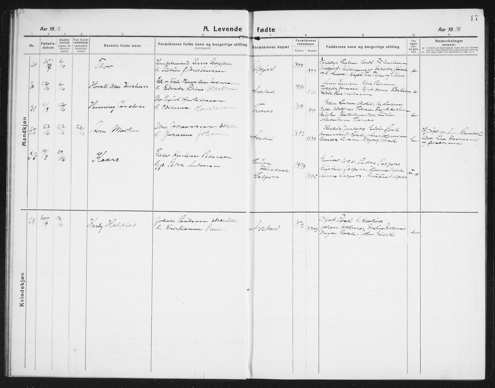 Ministerialprotokoller, klokkerbøker og fødselsregistre - Nordland, AV/SAT-A-1459/846/L0656: Parish register (copy) no. 846C06, 1917-1936, p. 17