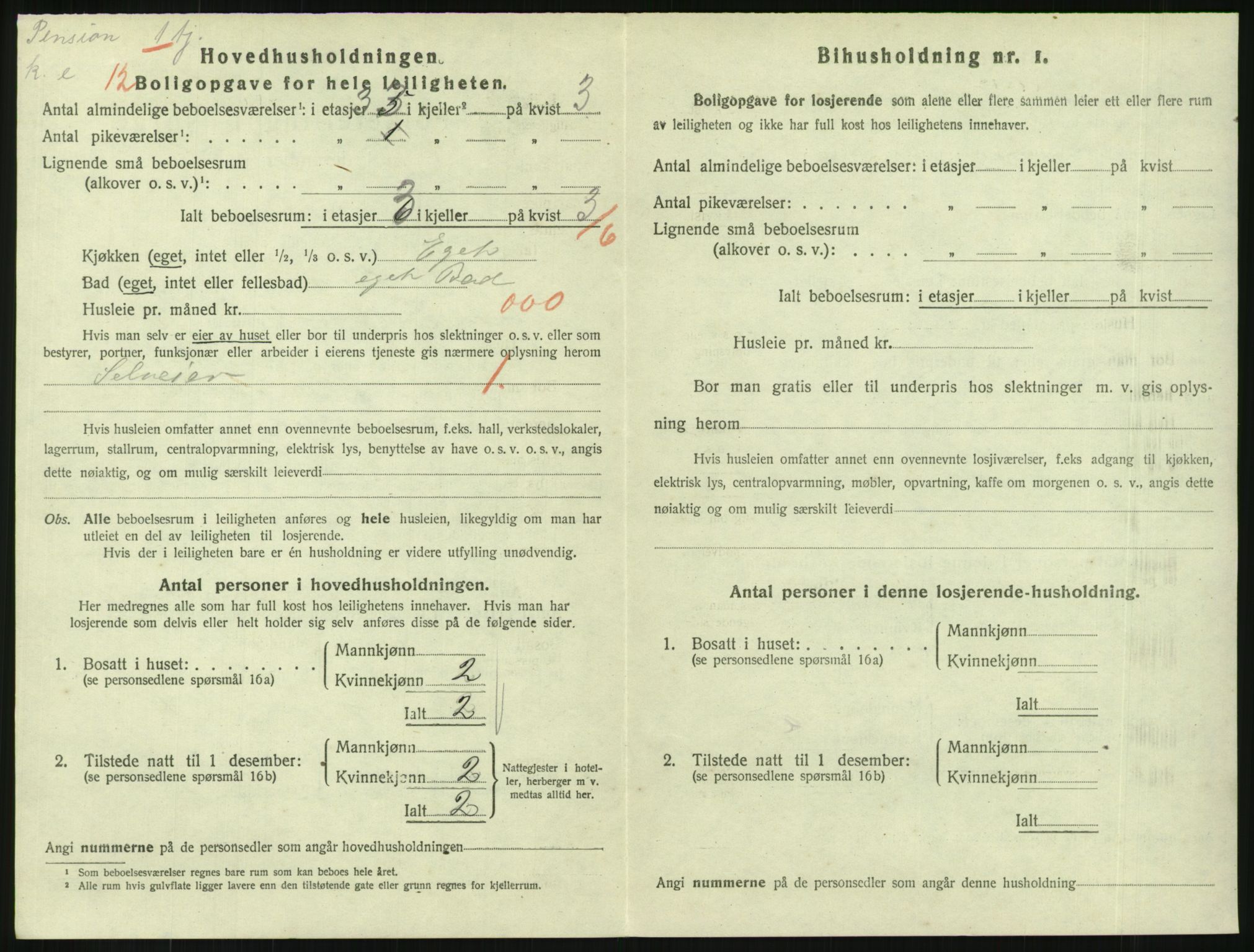 SAKO, 1920 census for Horten, 1920, p. 4202