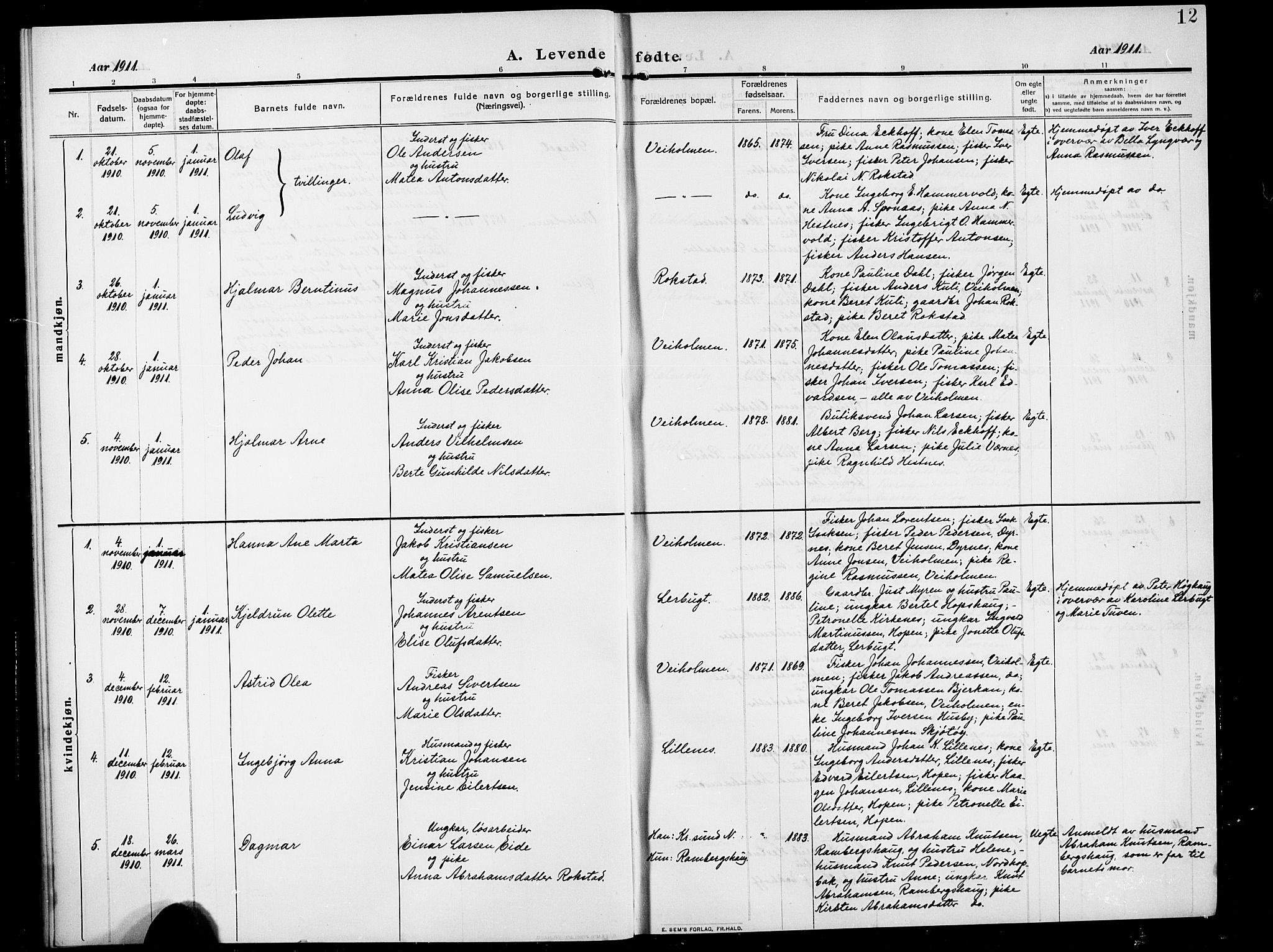 Ministerialprotokoller, klokkerbøker og fødselsregistre - Møre og Romsdal, SAT/A-1454/583/L0956: Parish register (copy) no. 583C01, 1909-1925, p. 12