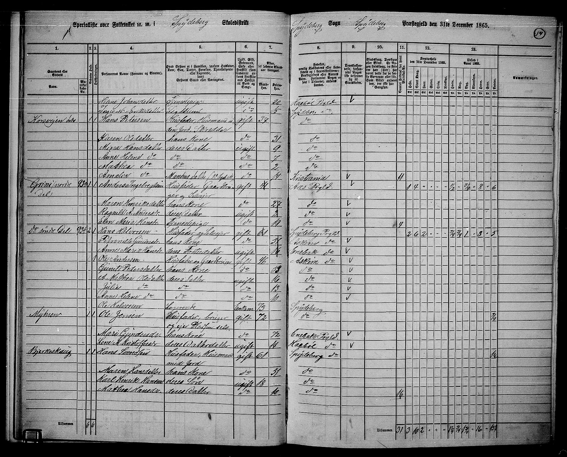 RA, 1865 census for Spydeberg, 1865, p. 16