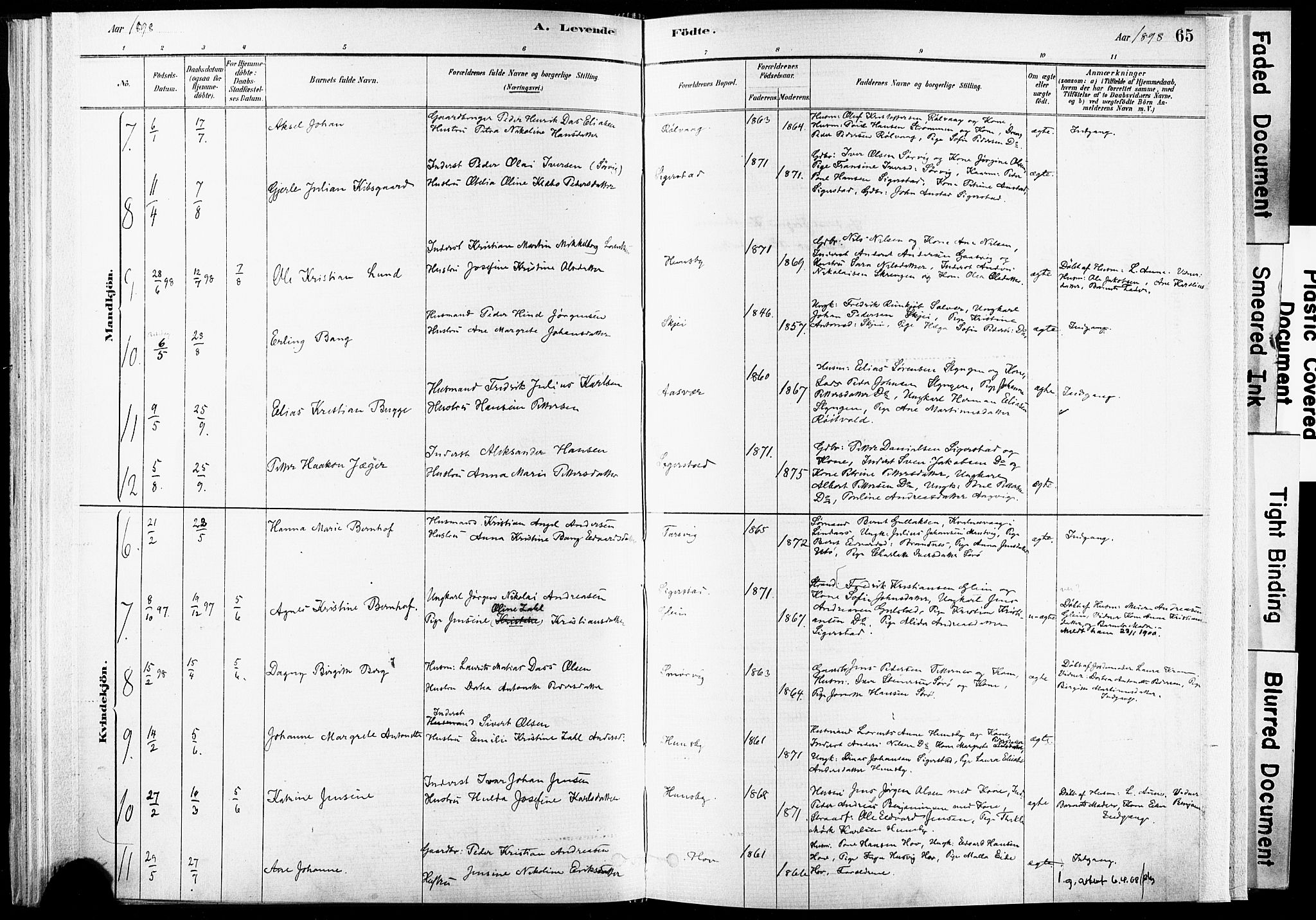 Ministerialprotokoller, klokkerbøker og fødselsregistre - Nordland, SAT/A-1459/835/L0525: Parish register (official) no. 835A03I, 1881-1910, p. 65