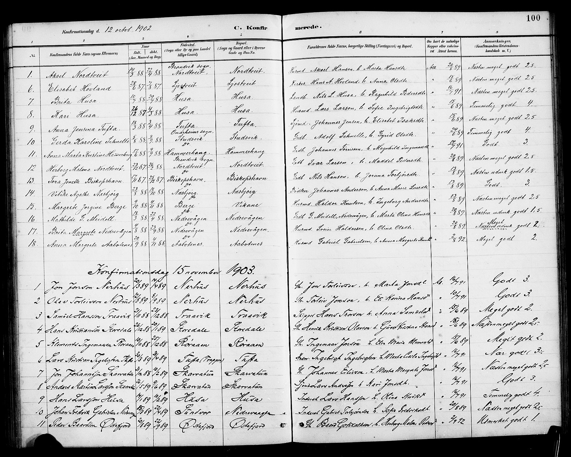 Kvinnherad sokneprestembete, SAB/A-76401/H/Hab: Parish register (copy) no. E 1, 1885-1921, p. 100