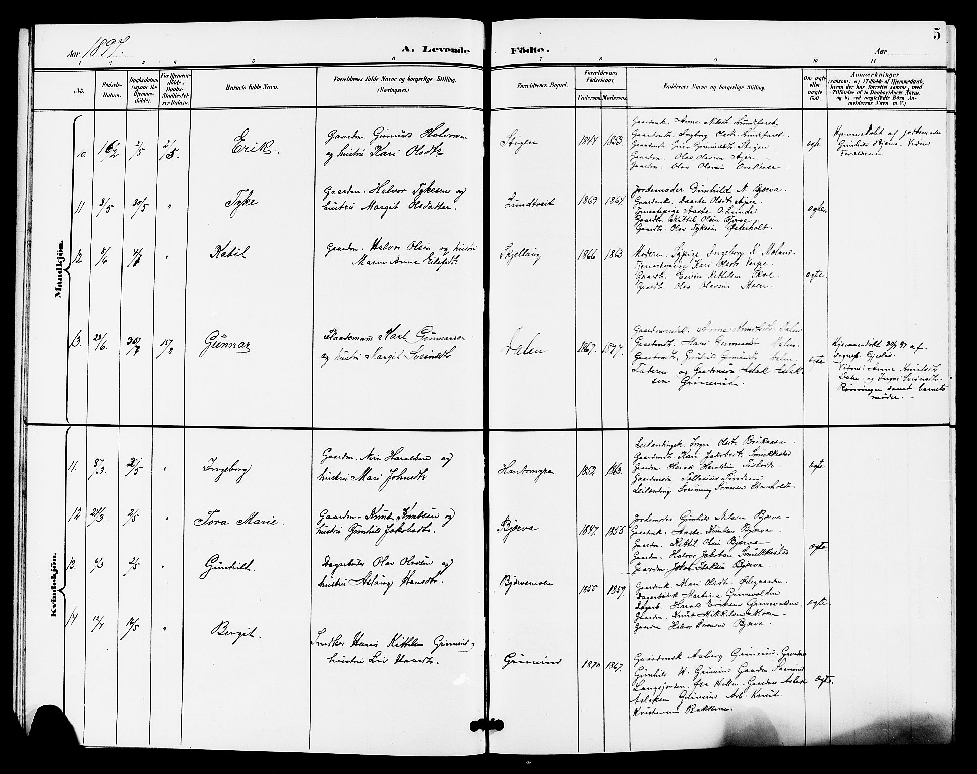 Lunde kirkebøker, AV/SAKO-A-282/G/Ga/L0003: Parish register (copy) no. I 3, 1896-1905, p. 5