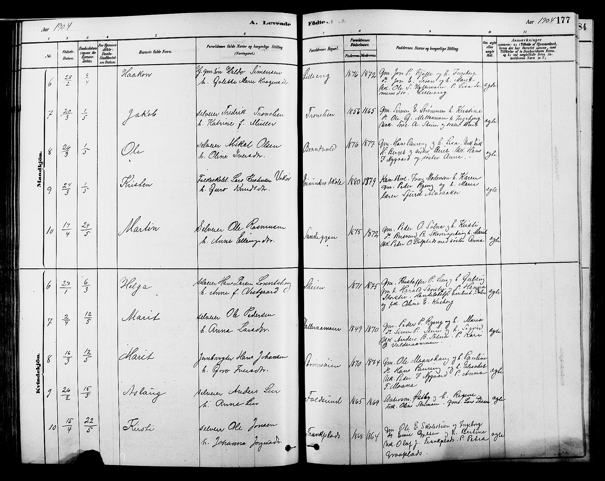 Alvdal prestekontor, SAH/PREST-060/H/Ha/Hab/L0003: Parish register (copy) no. 3, 1878-1907, p. 177