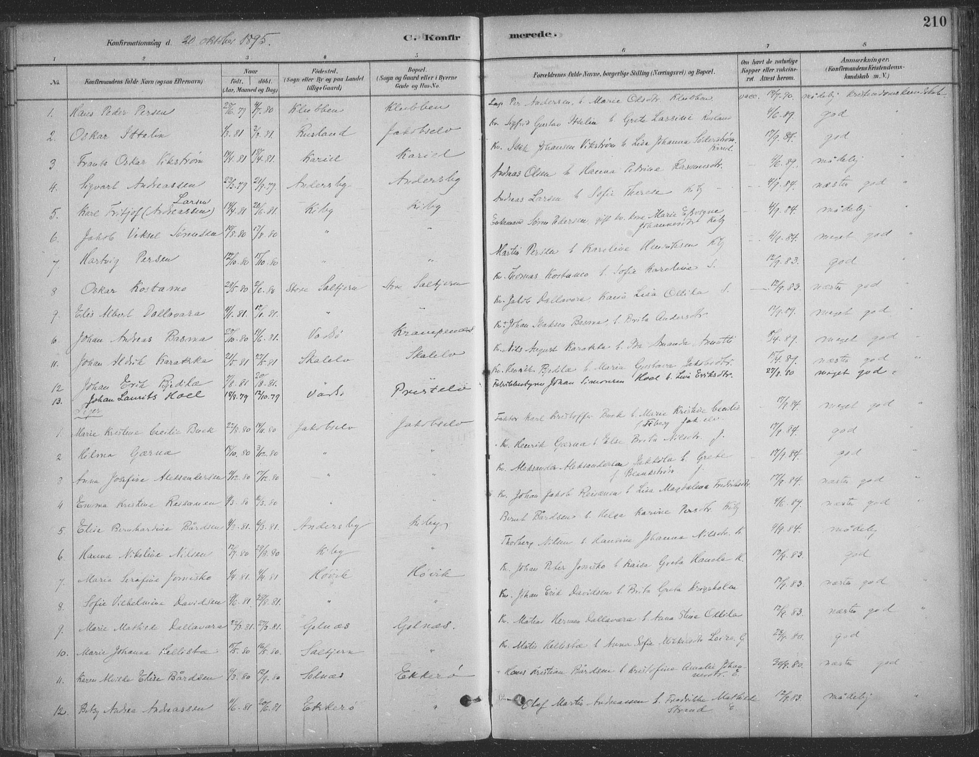 Vadsø sokneprestkontor, SATØ/S-1325/H/Ha/L0009kirke: Parish register (official) no. 9, 1881-1917, p. 210