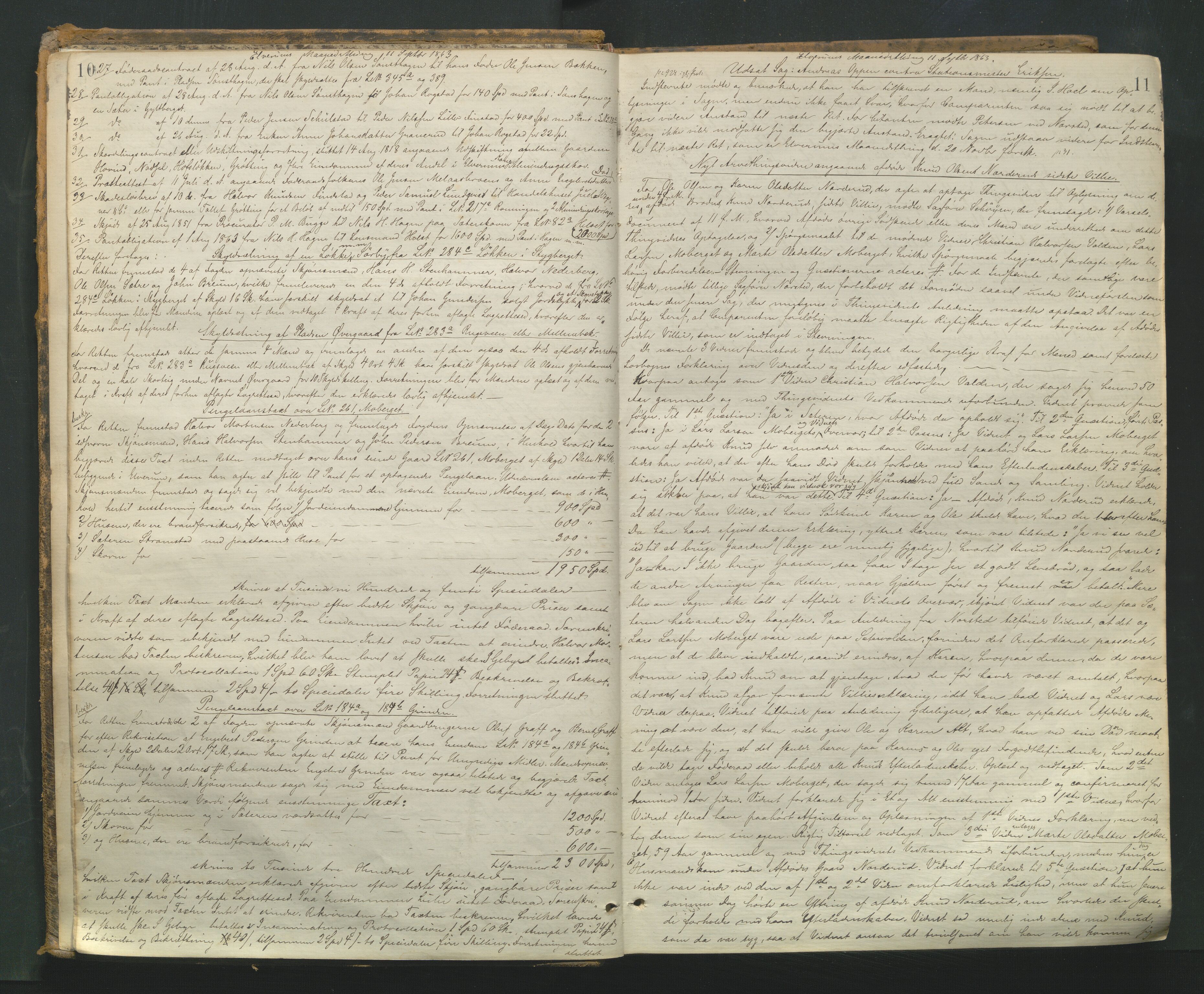 Sør-Østerdal sorenskriveri, AV/SAH-TING-018/G/Gb/L0004: Tingbok, 1863-1871, p. 10-11