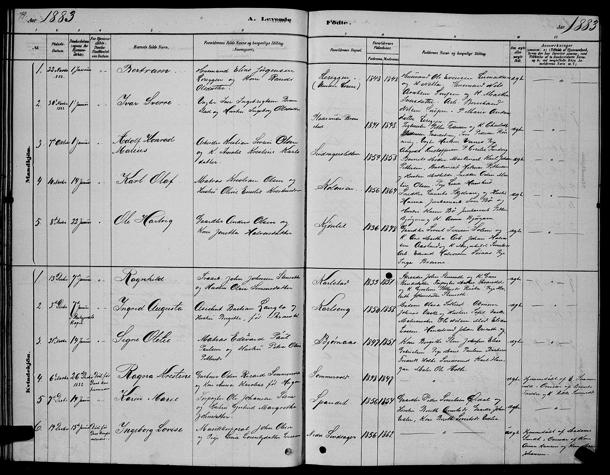 Ministerialprotokoller, klokkerbøker og fødselsregistre - Sør-Trøndelag, SAT/A-1456/606/L0312: Parish register (copy) no. 606C08, 1878-1894, p. 79